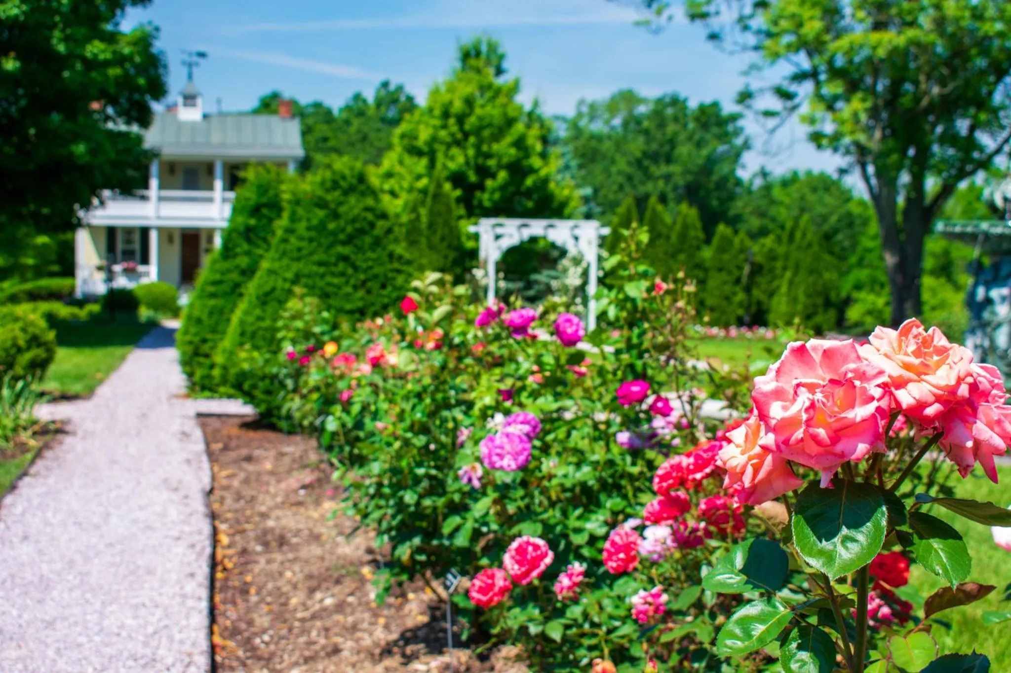 Garden in Antrim 1844