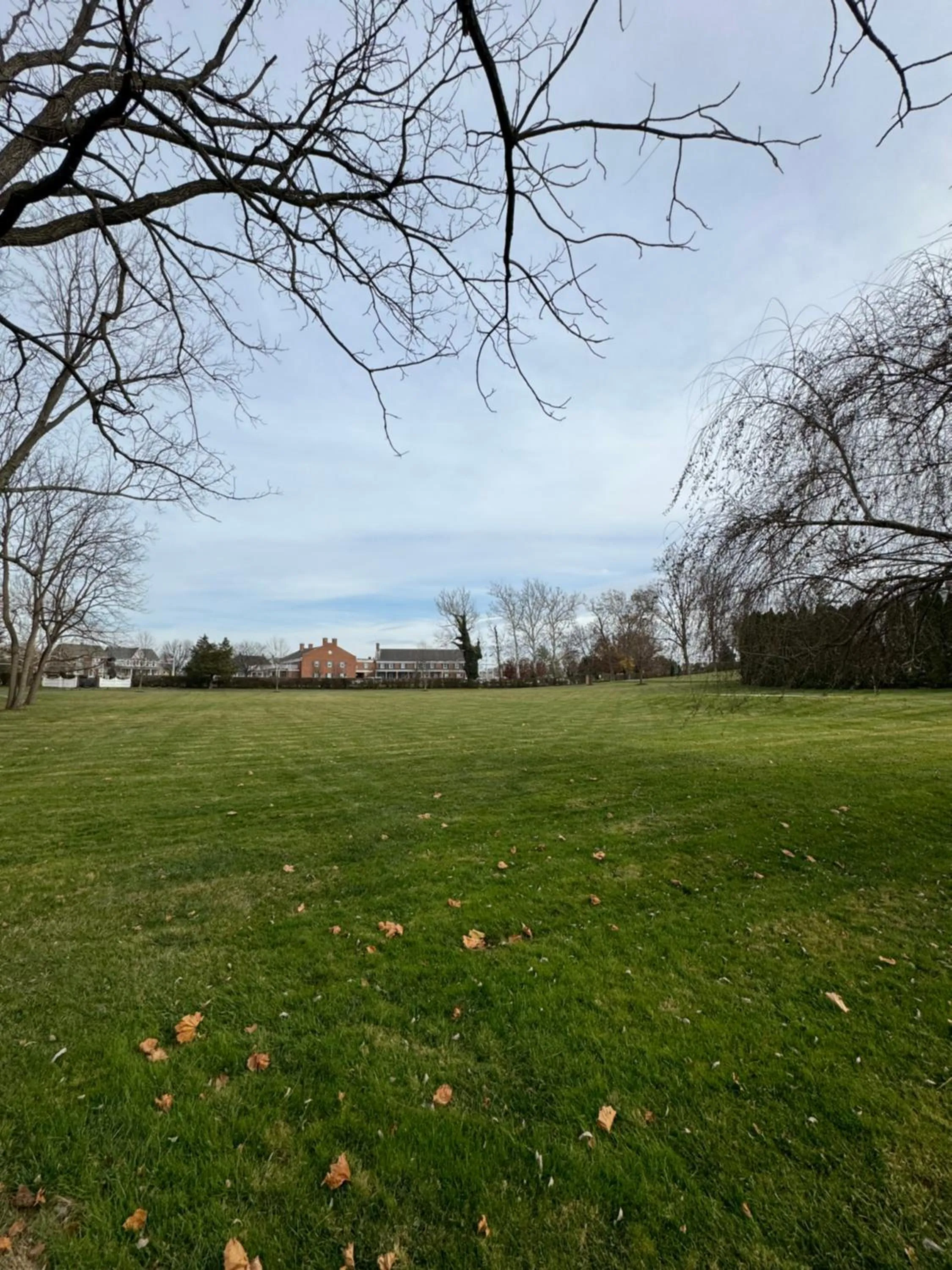 View (from property/room) in Antrim 1844