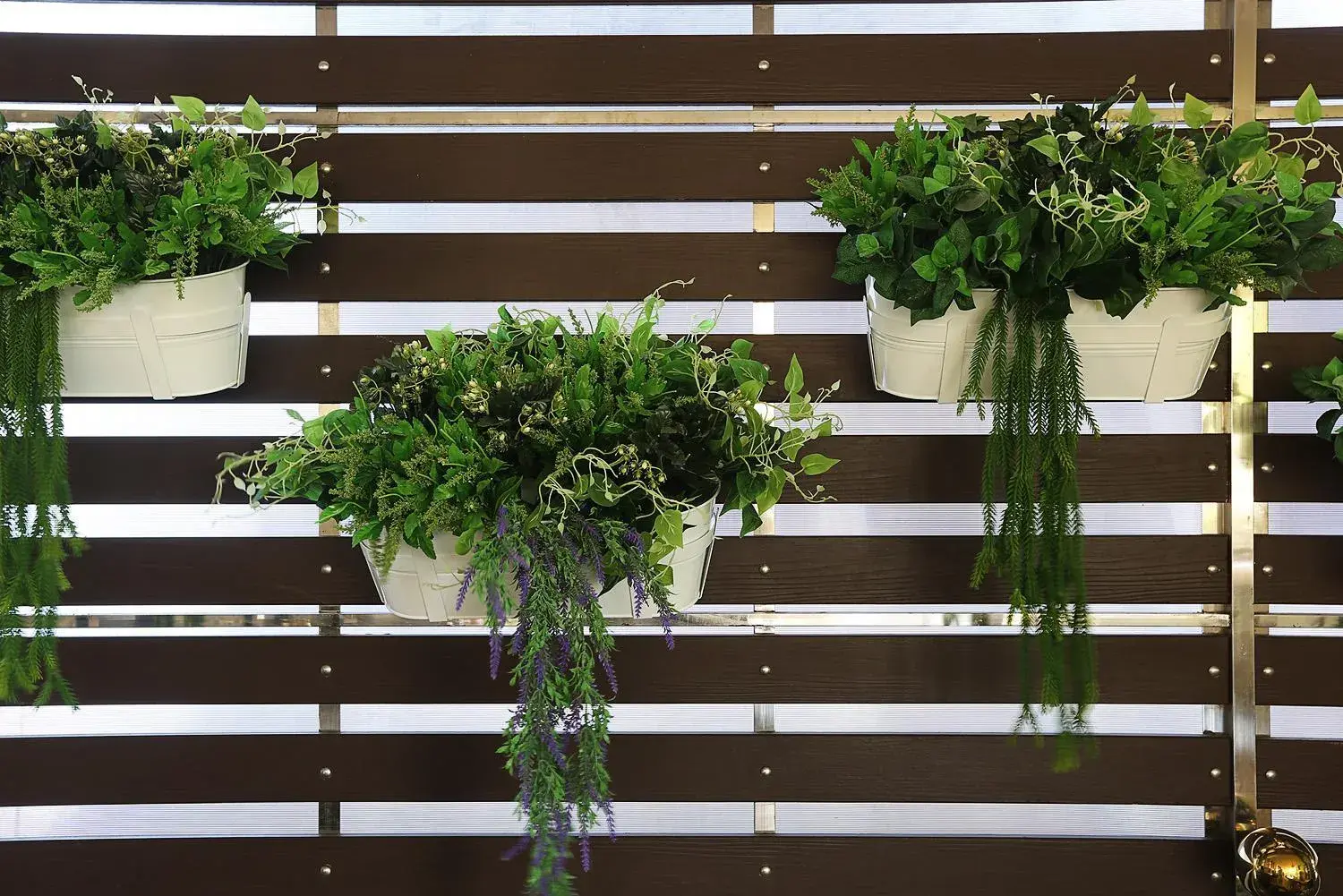 Restaurant/places to eat in V Place Residence Restaurant/places to eat in V Place Residence