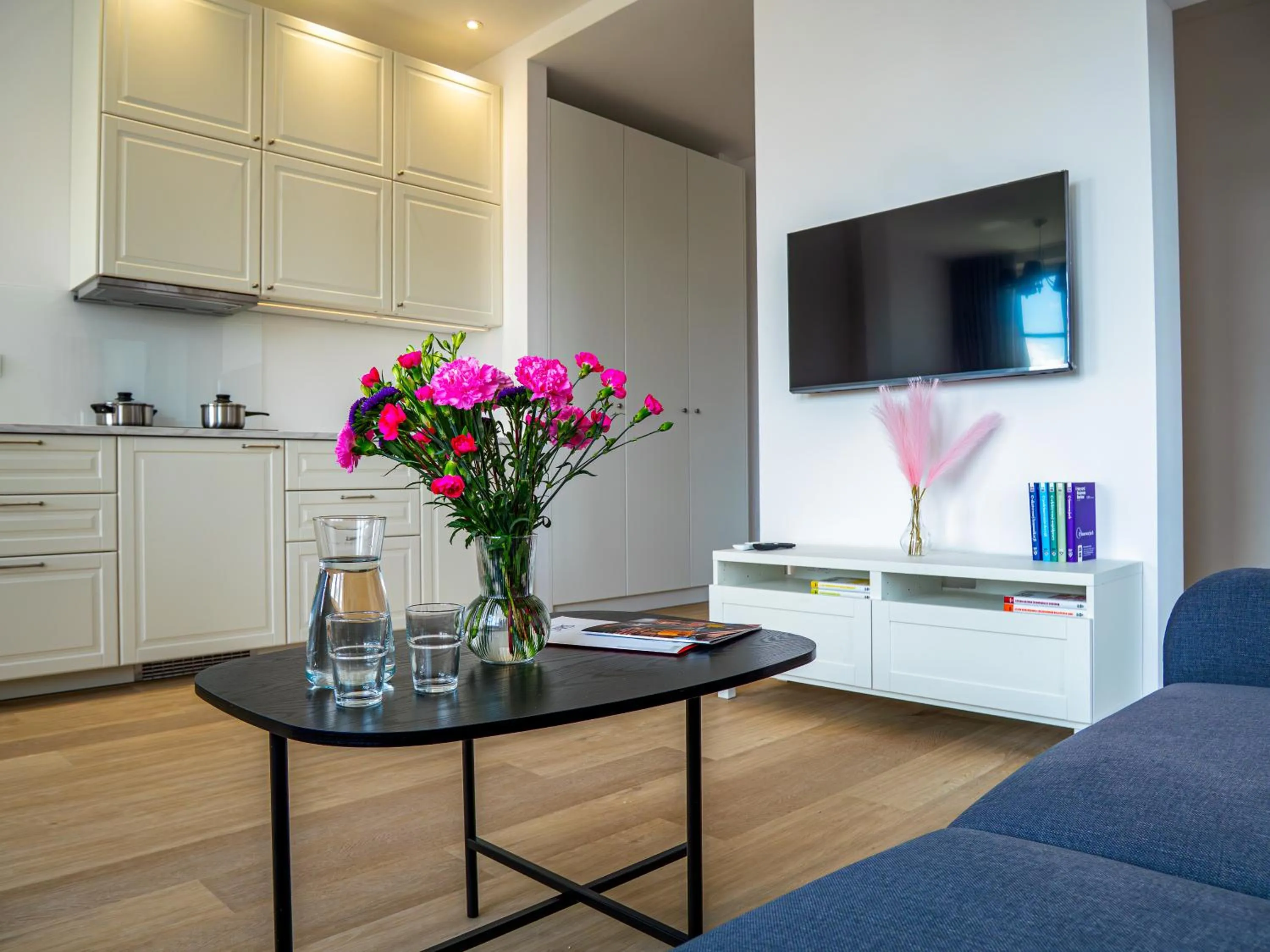 TV and multimedia in Długa 17 Residence