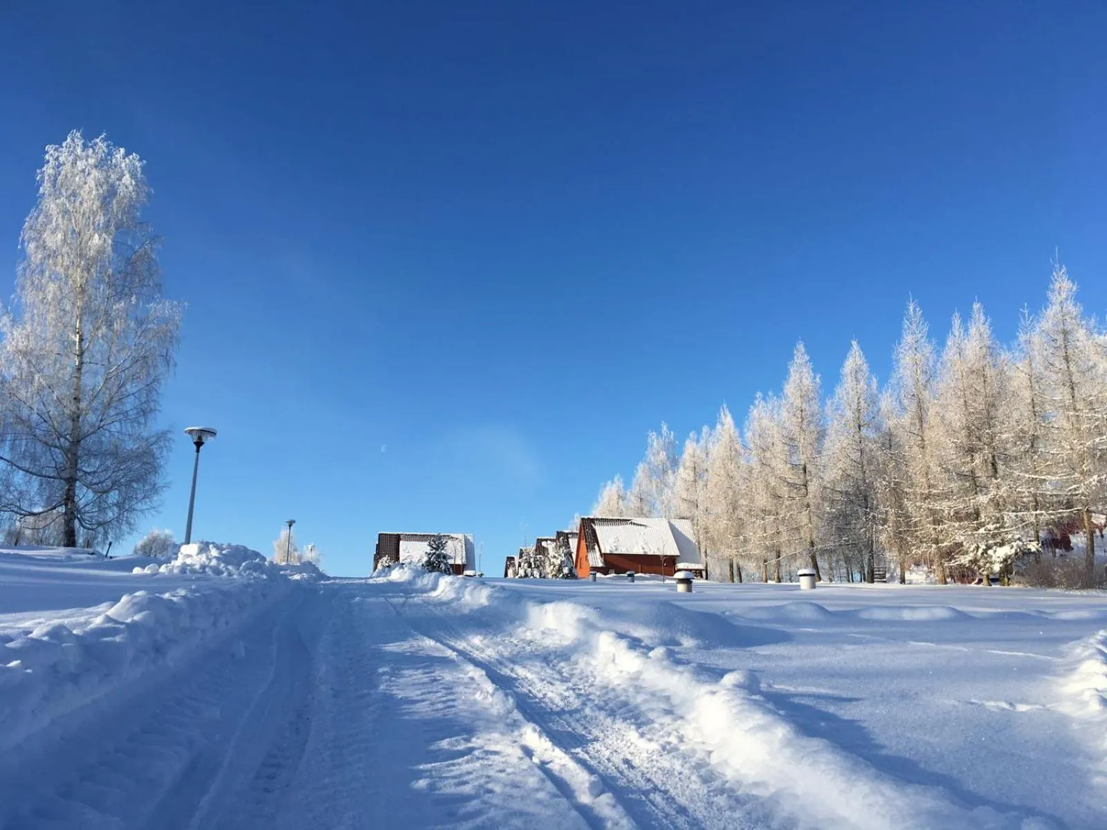 Winter in Czocha Palace&Czocha Camping - OR Czocha