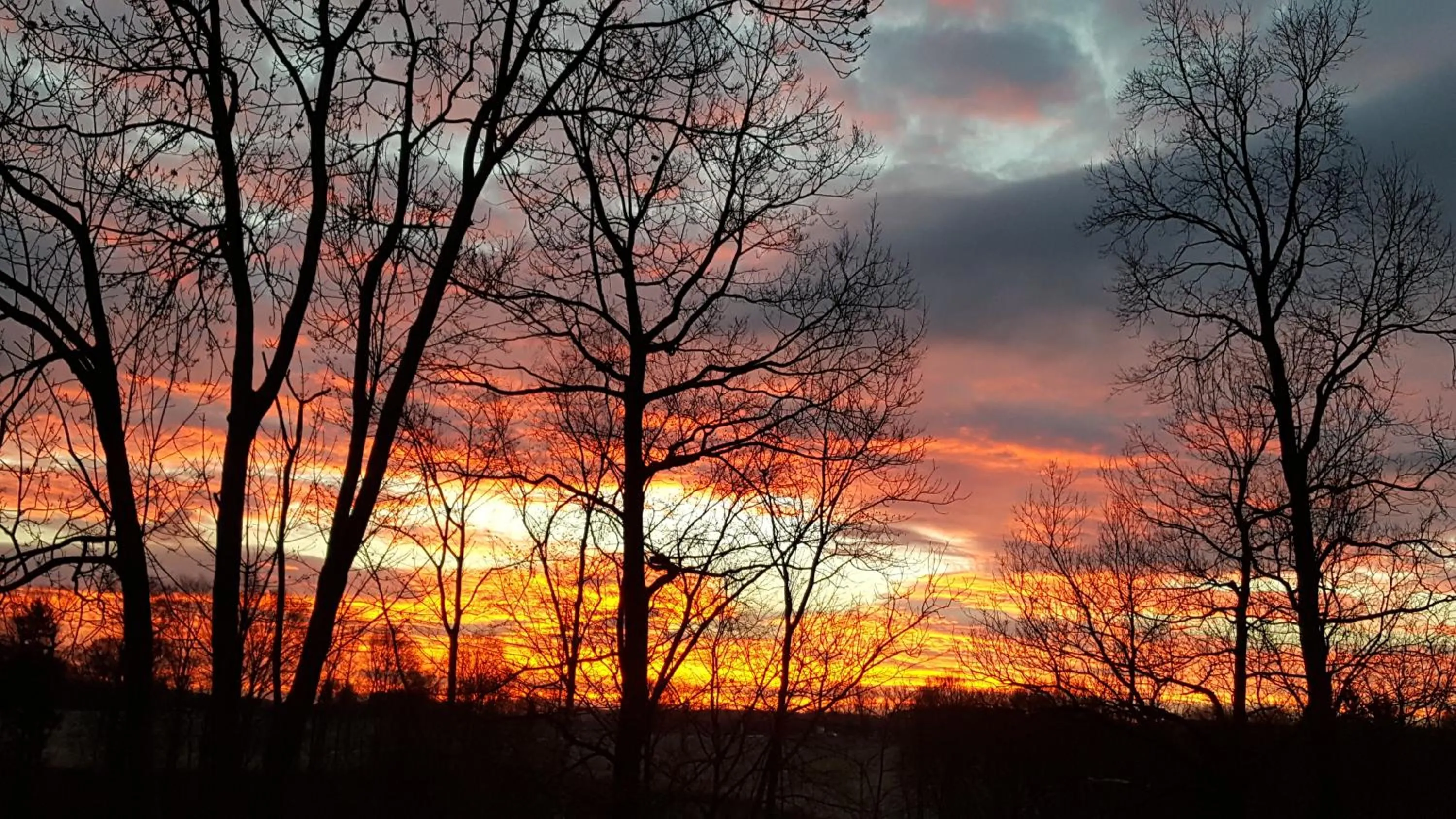 Natural landscape in Czocha Palace&Czocha Camping - OR Czocha
