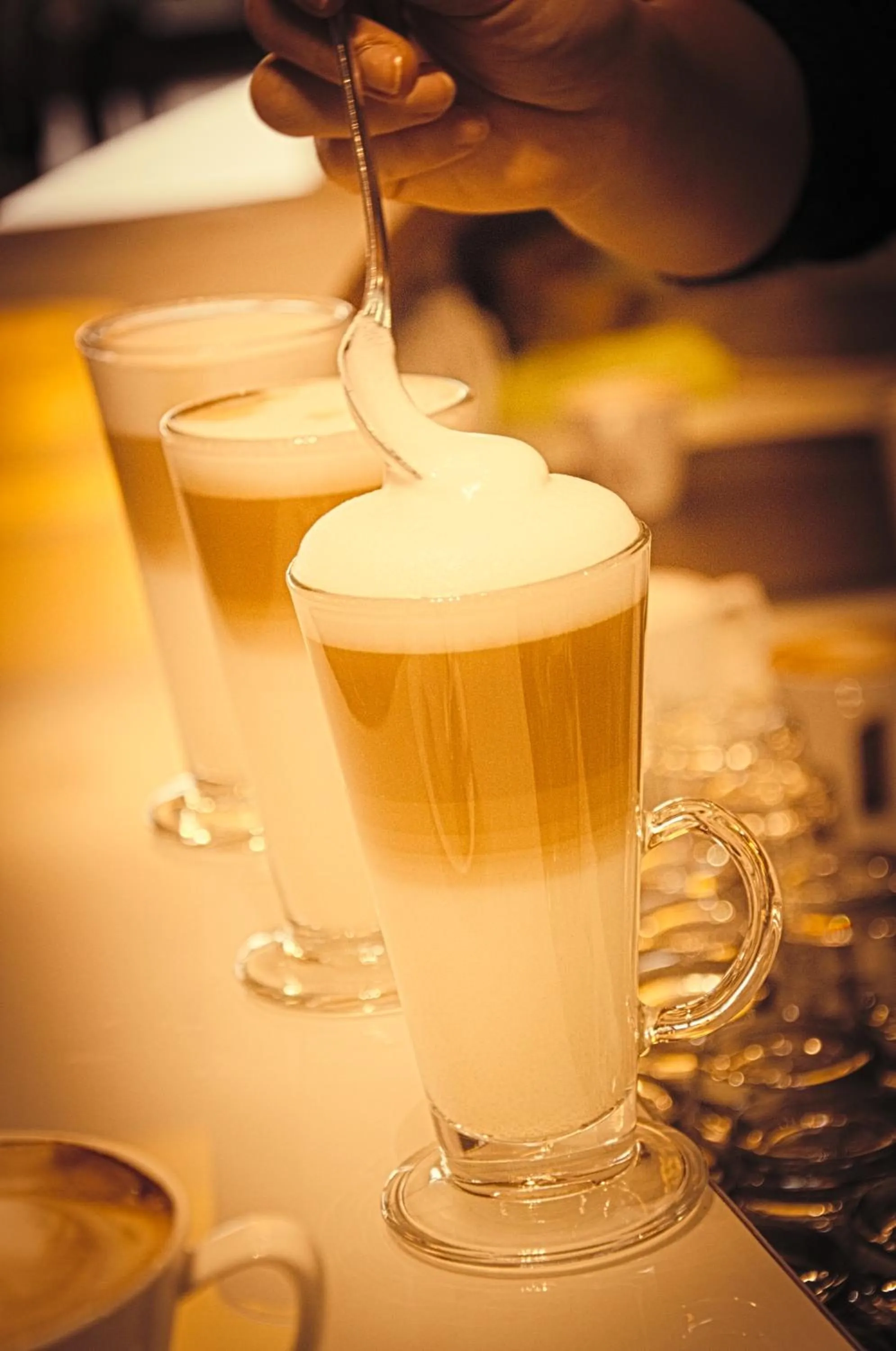 Drinks in Czocha Palace&Czocha Camping - OR Czocha