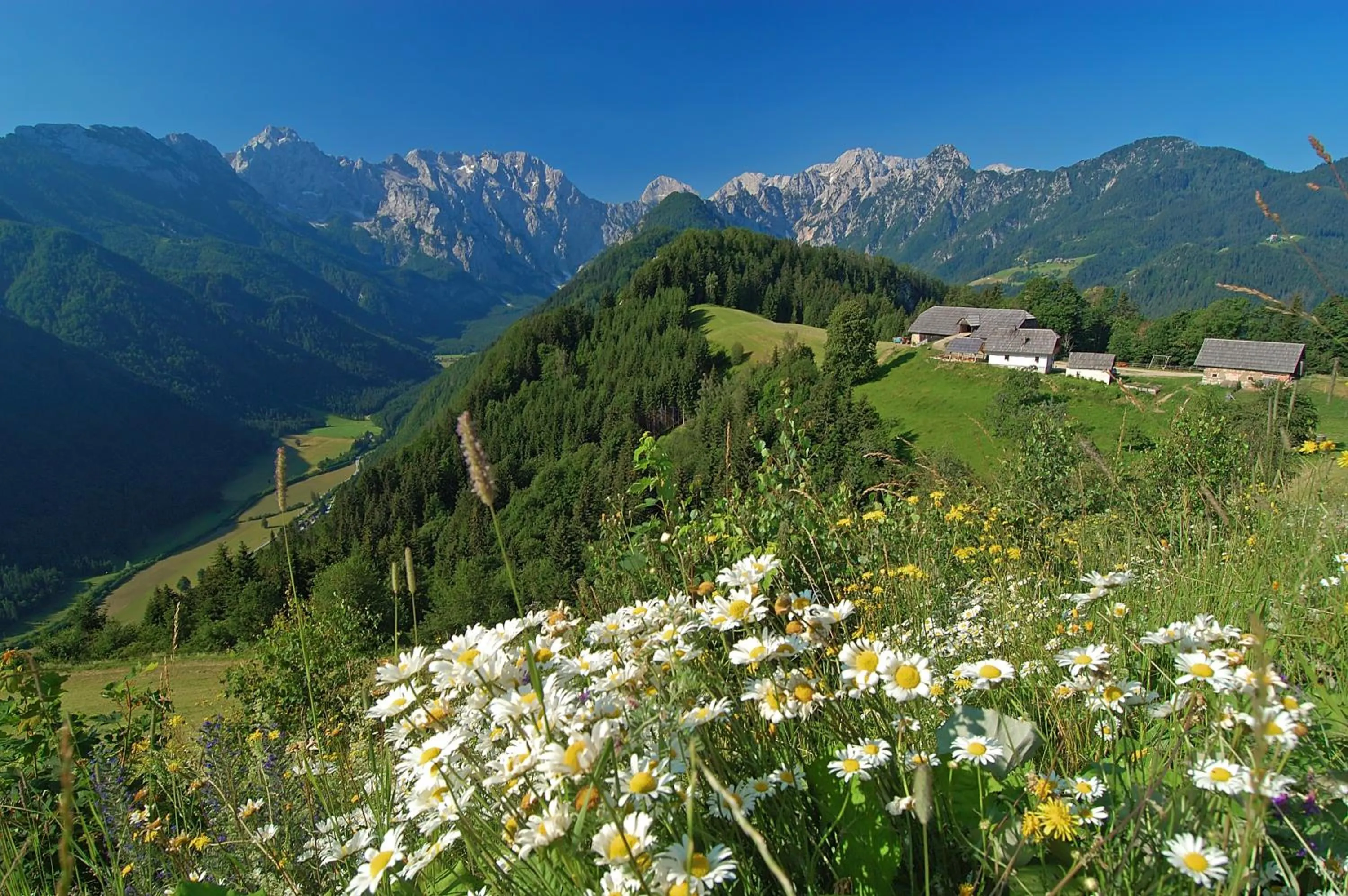 Hiking in Prenočišča Valentina