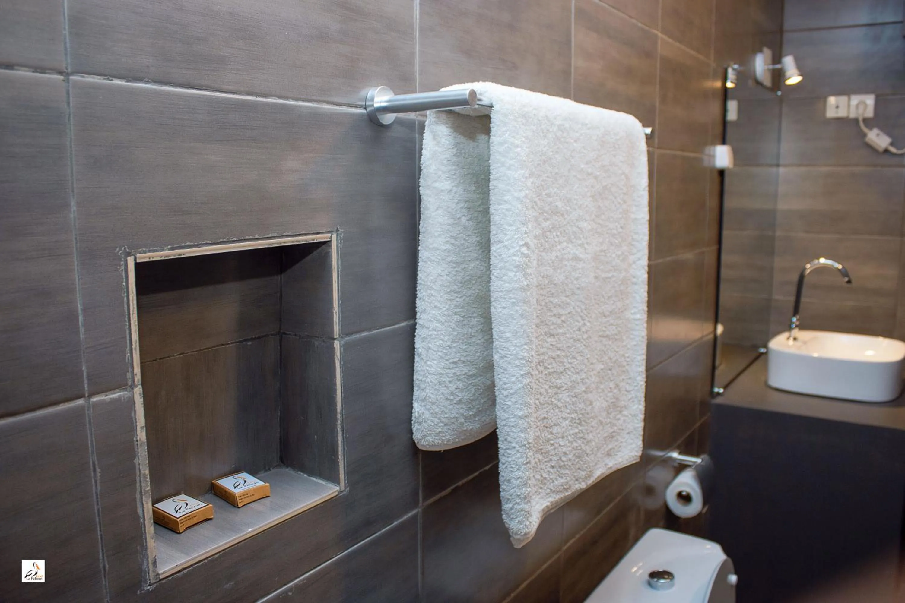 Shower in Hotel le Pelican