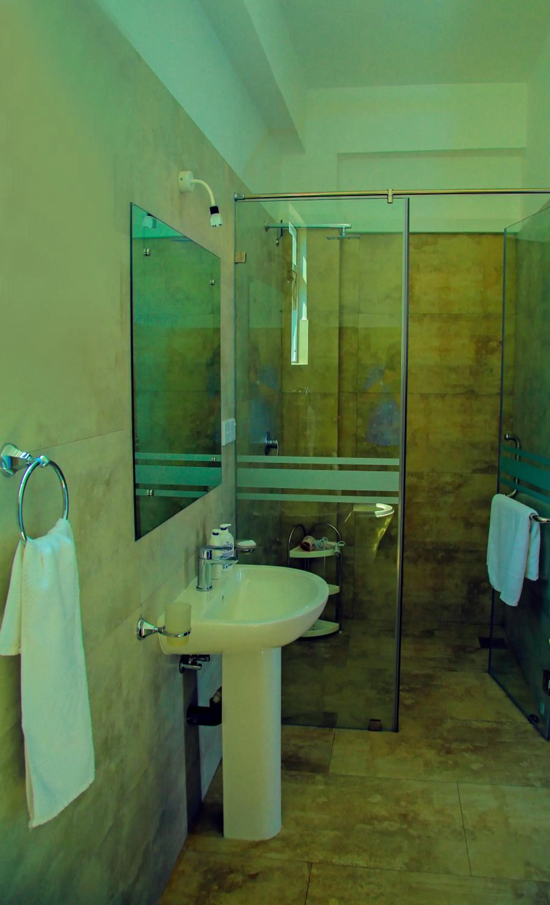 Shower in Christima Residence