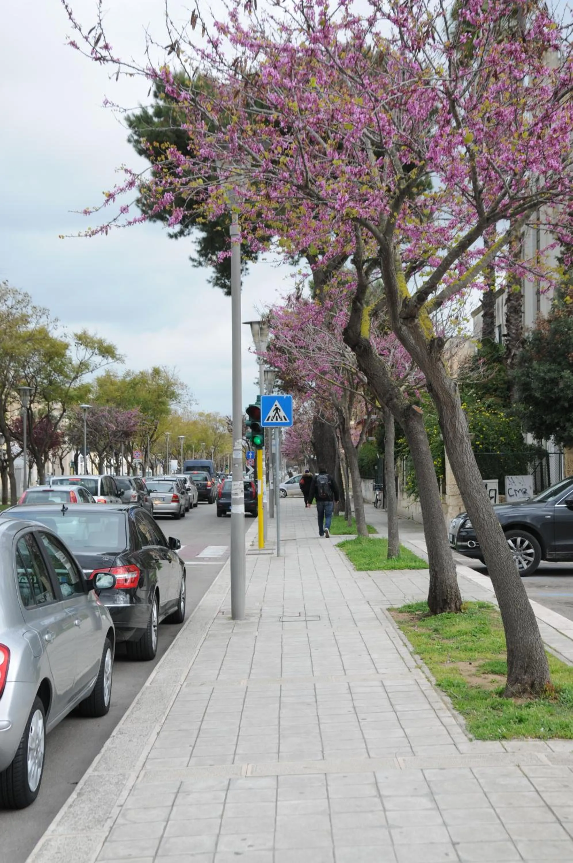 Street view in Le Tre Civette