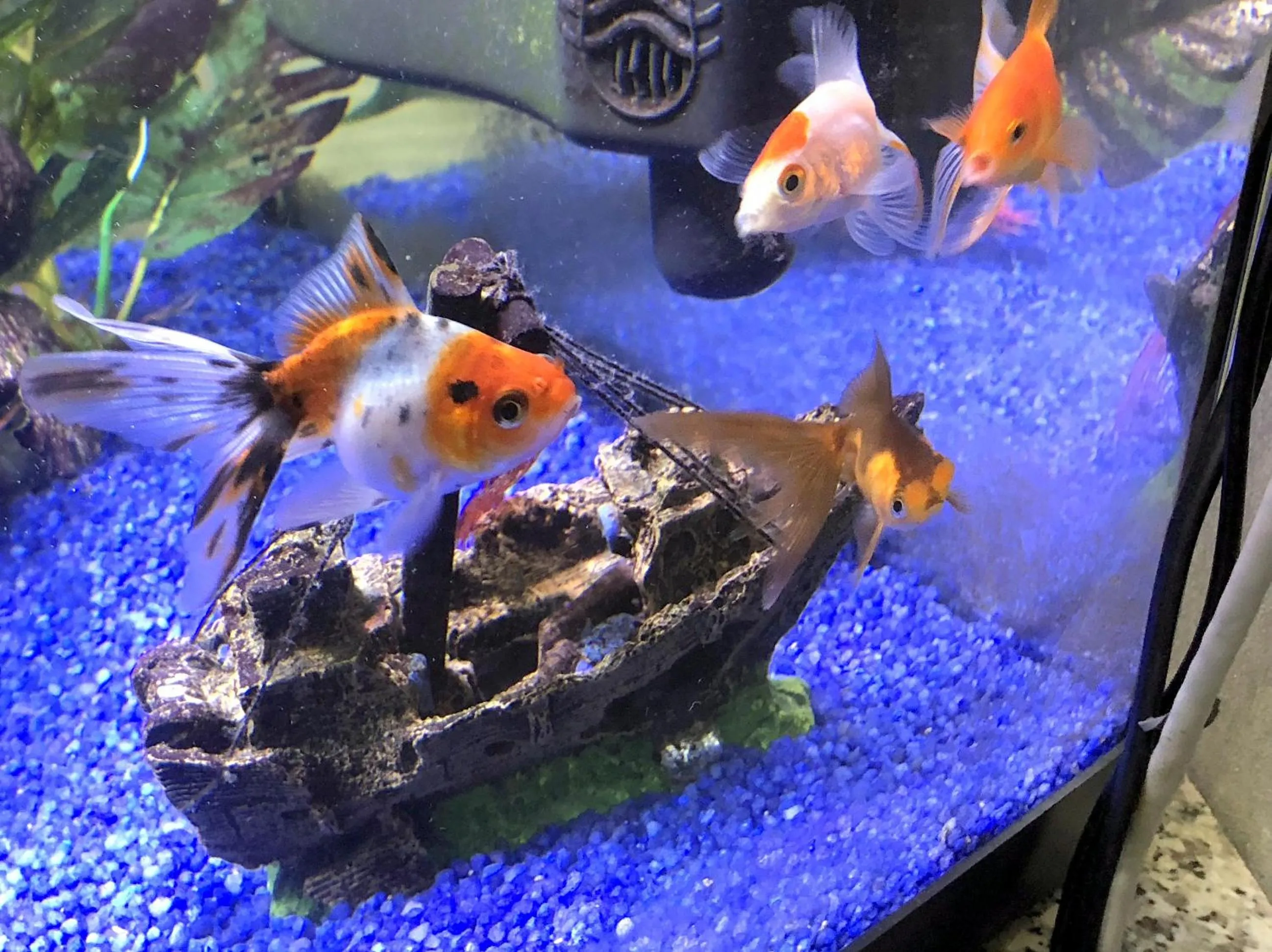 Other in Il Giardino Di Adriana