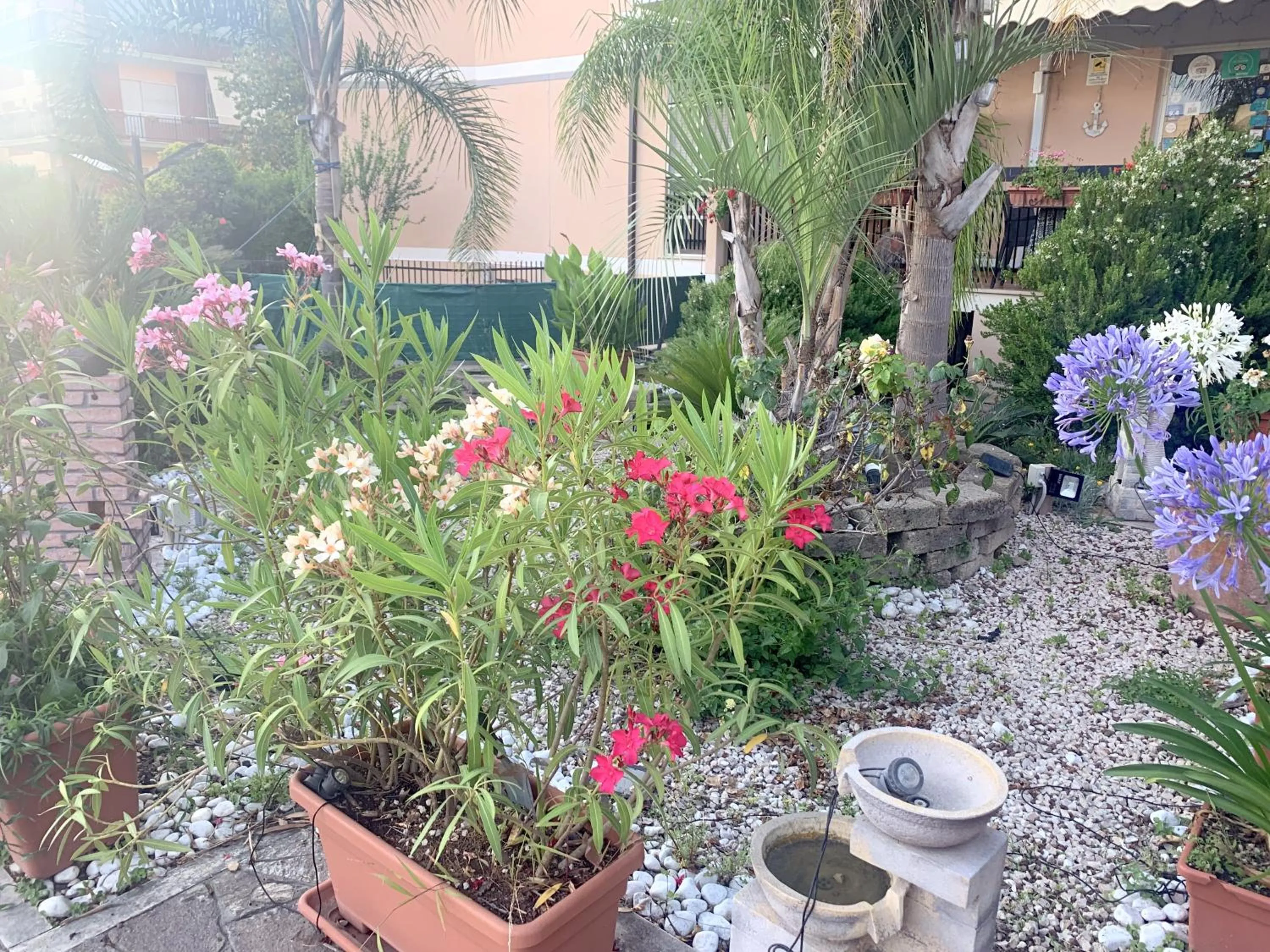 Day in Il Giardino Di Adriana