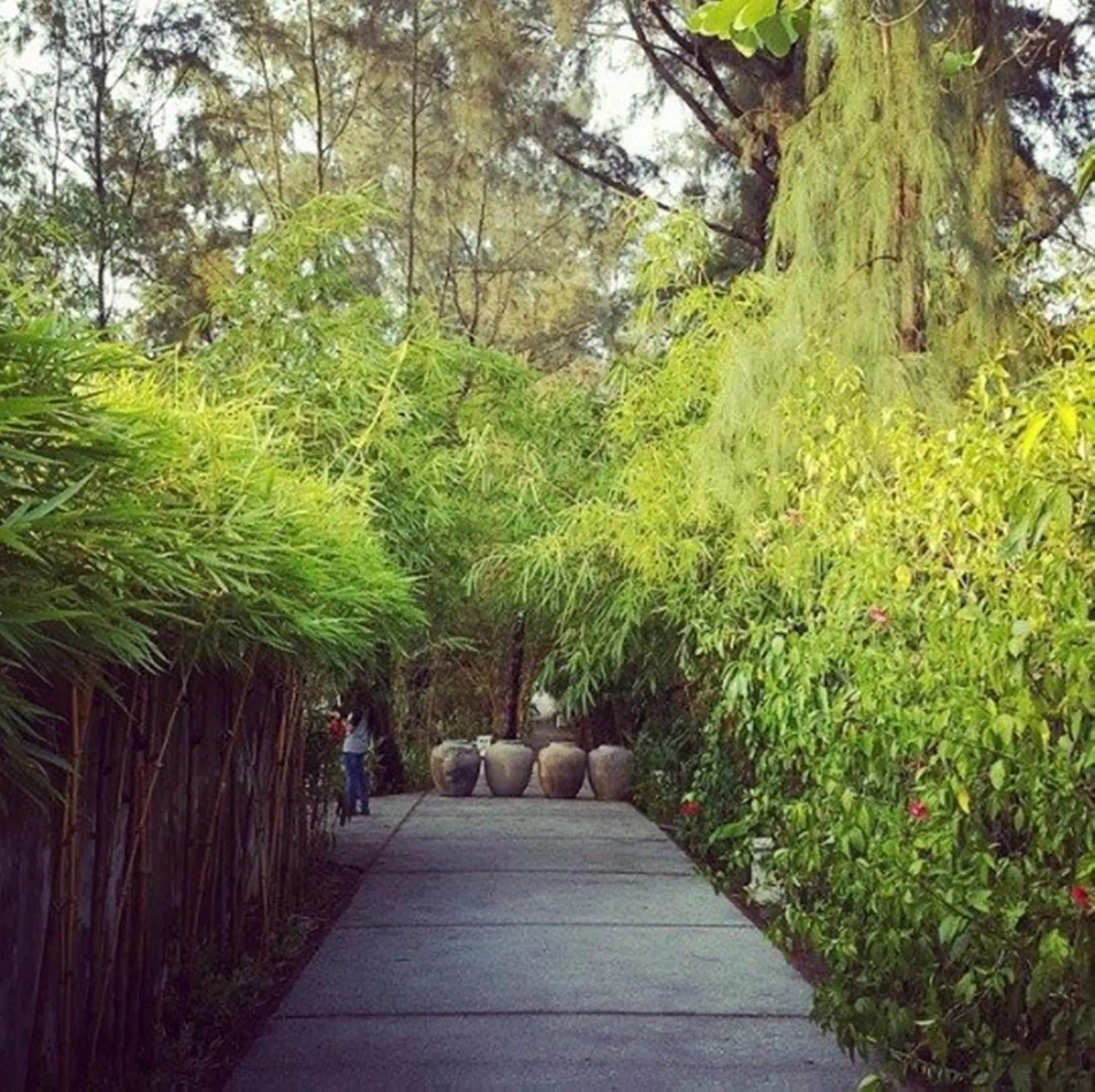 Facade/entrance in Villa Louise Hue Beach Boutique Hotel Facade/entrance in Villa Louise Hue Beach Boutique Hotel