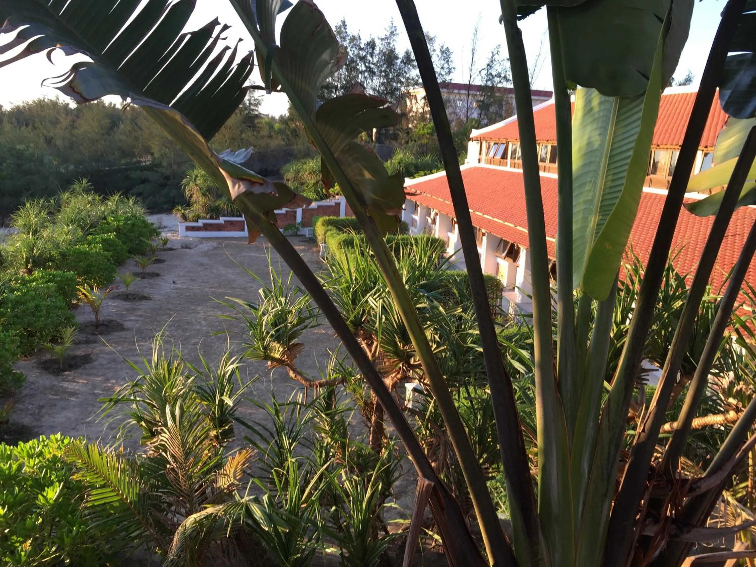 Garden view in Villa Louise Hue Beach Boutique Hotel