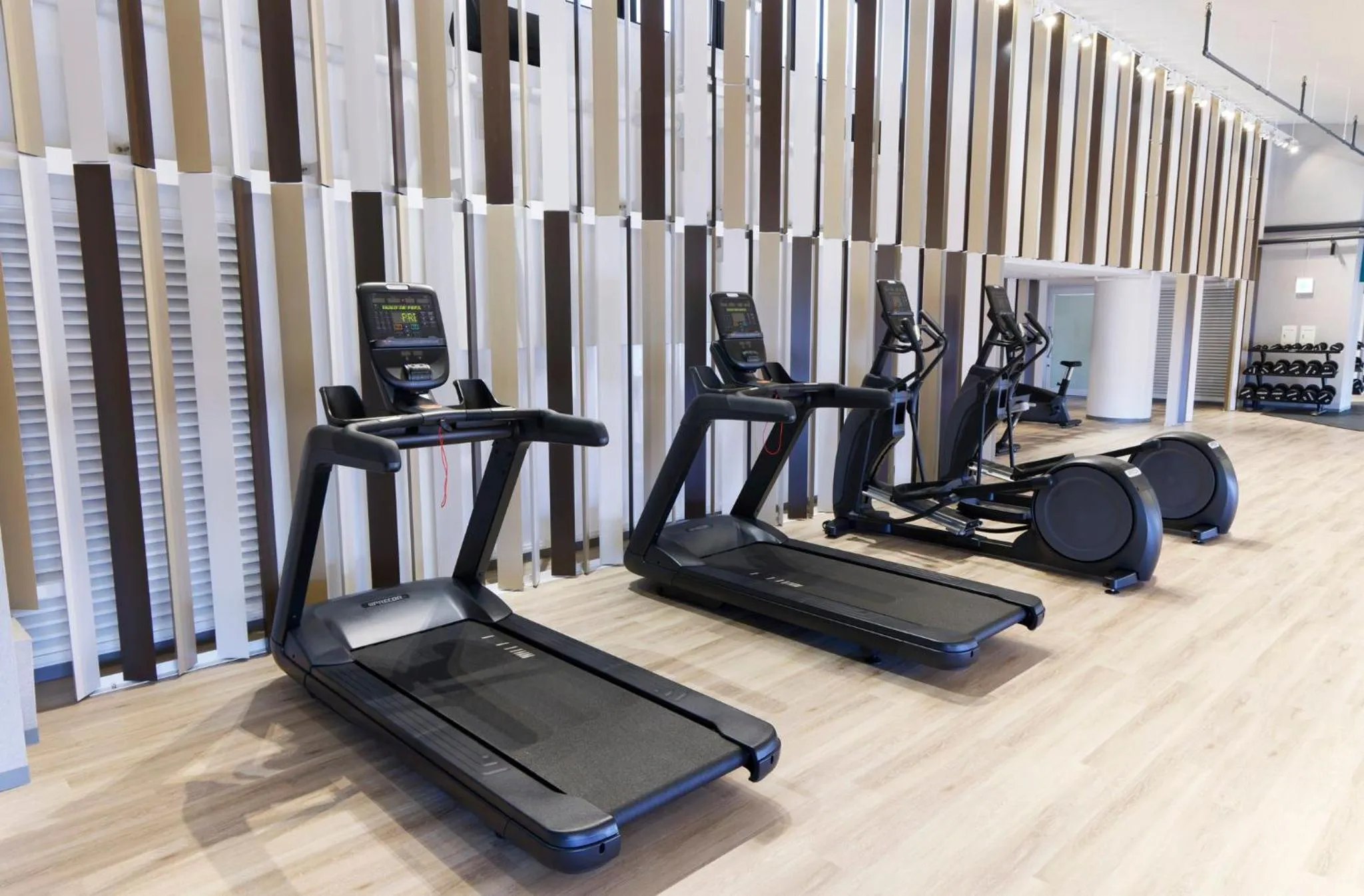 Fitness centre/facilities in Holiday Inn & Suites Sapporo Odori Park by IHG