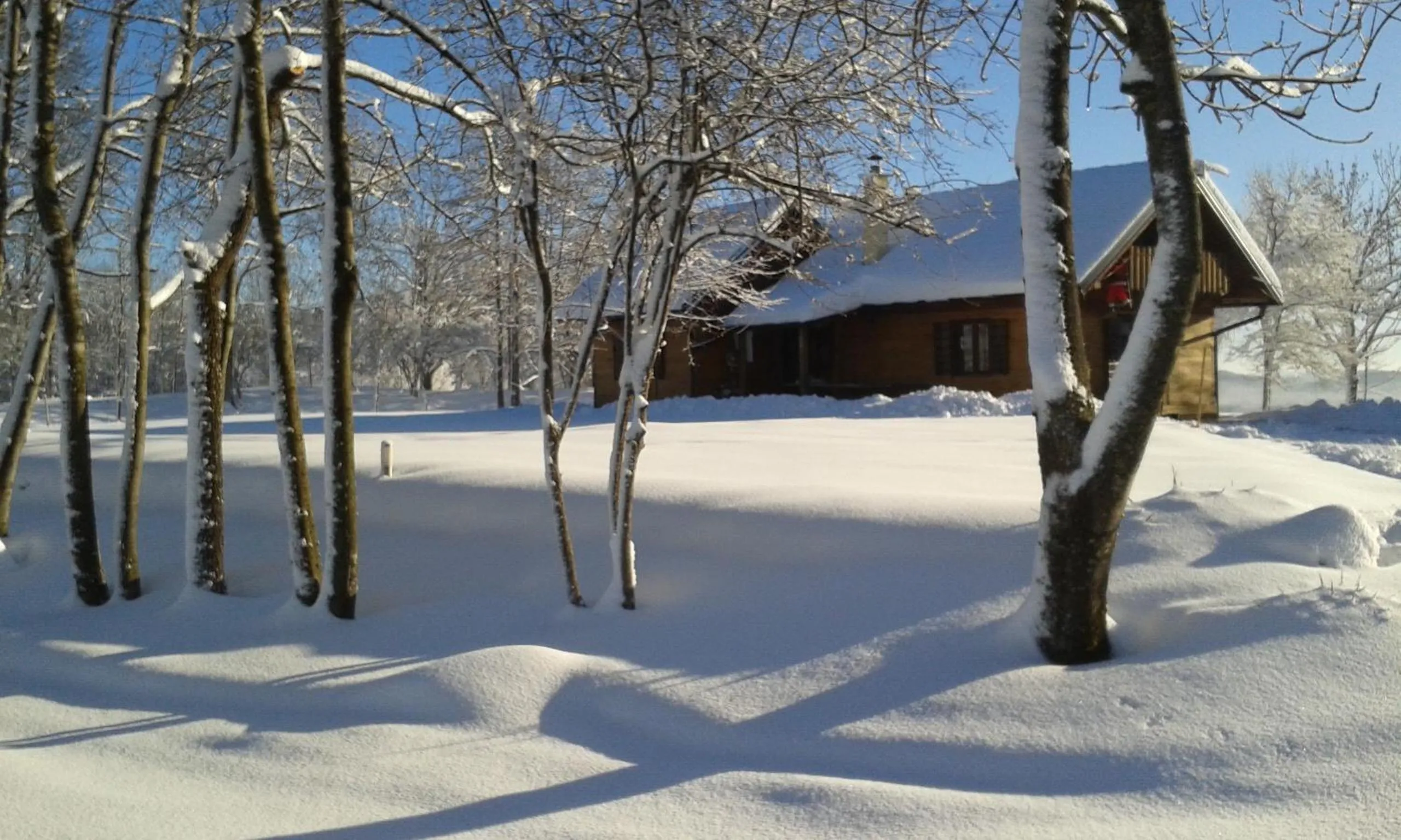 Property building in House Marijana