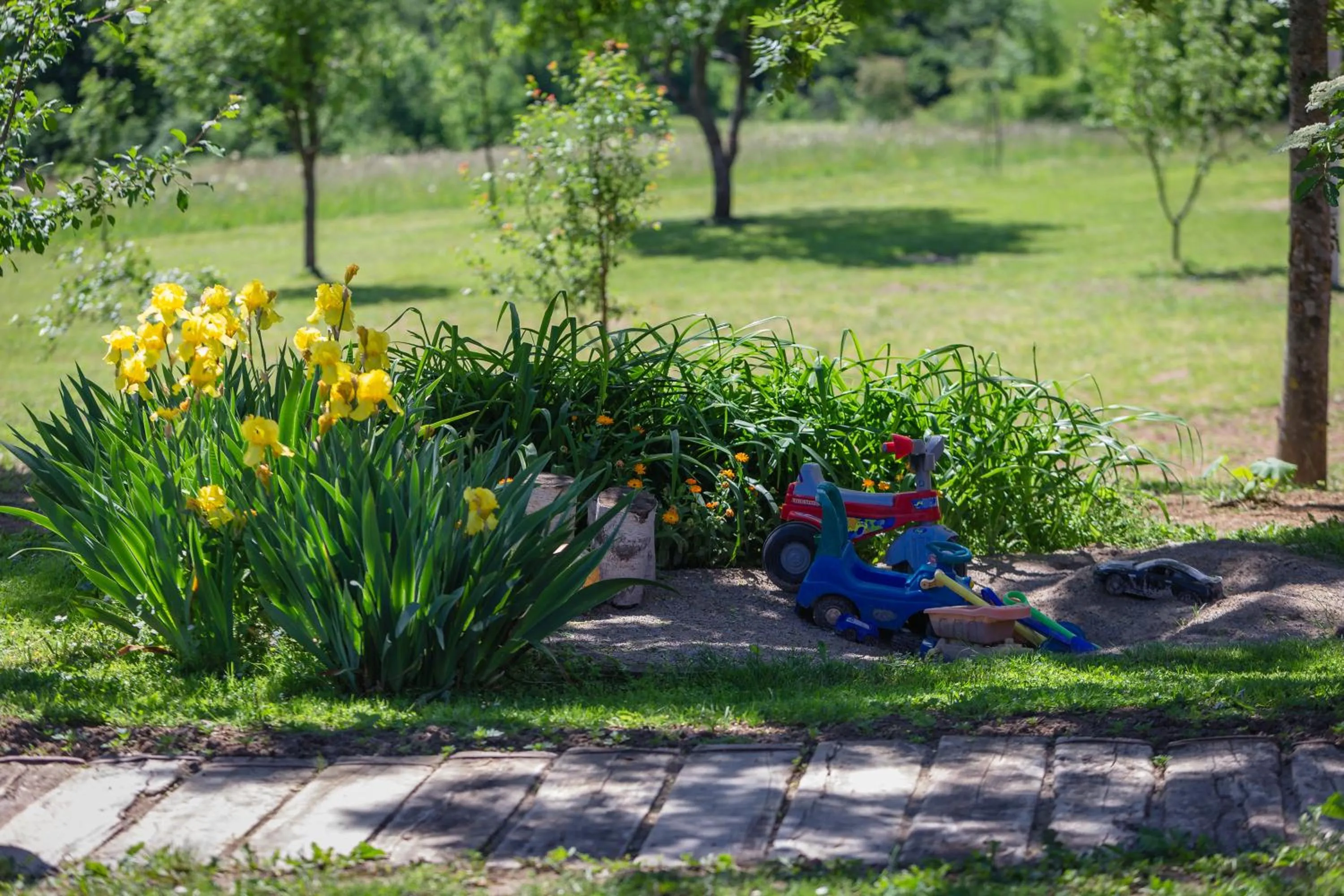 Garden in House Marijana