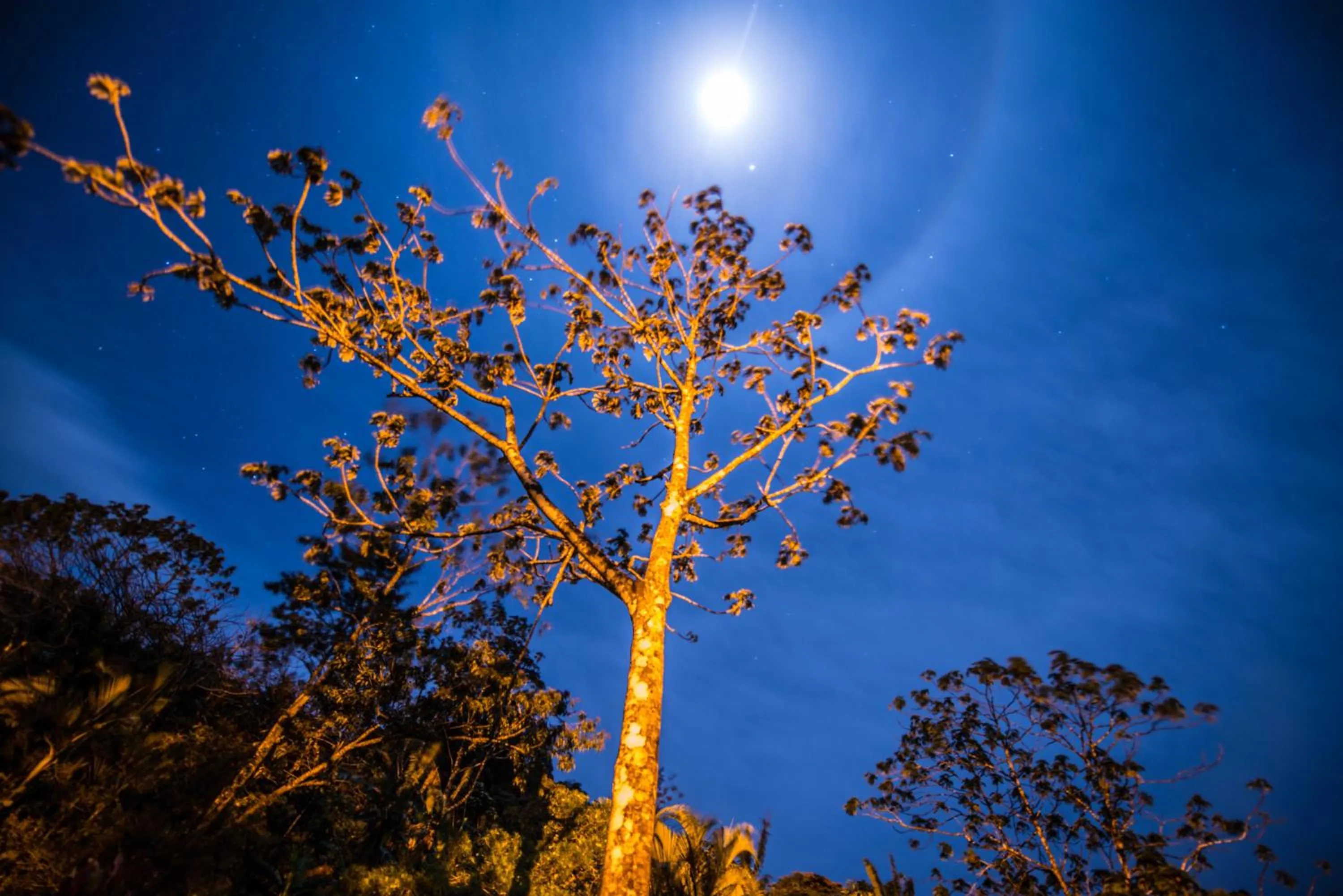 View (from property/room) in Lucky Bug Bed And Breakfast