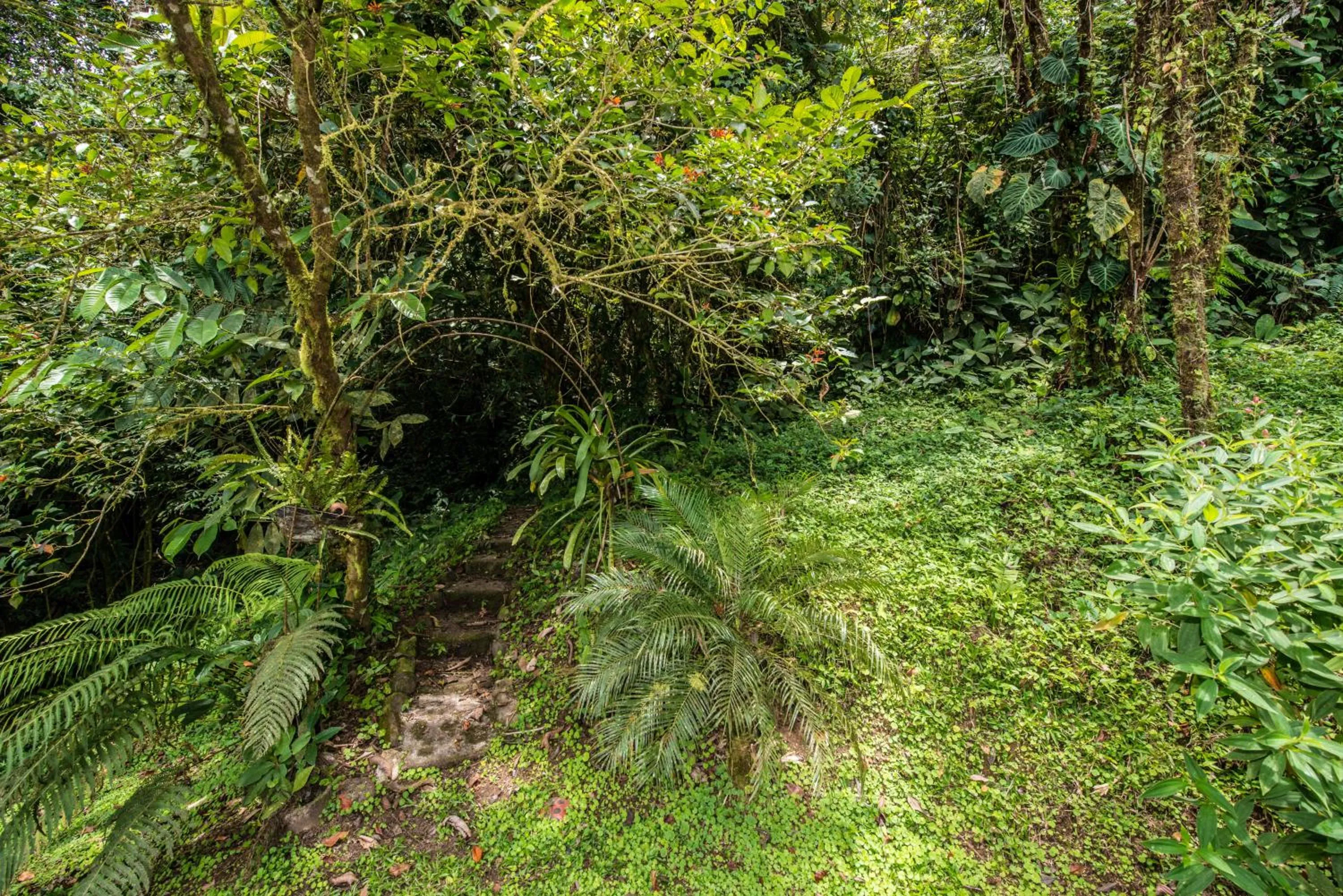 Garden view in Lucky Bug Bed And Breakfast