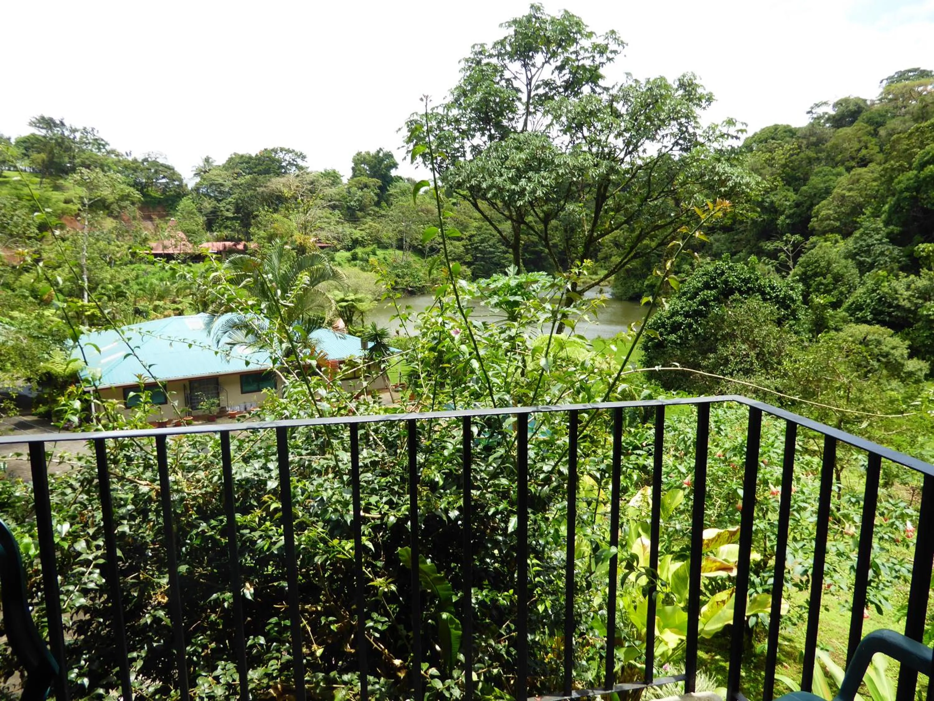 Natural landscape in Lucky Bug Bed And Breakfast
