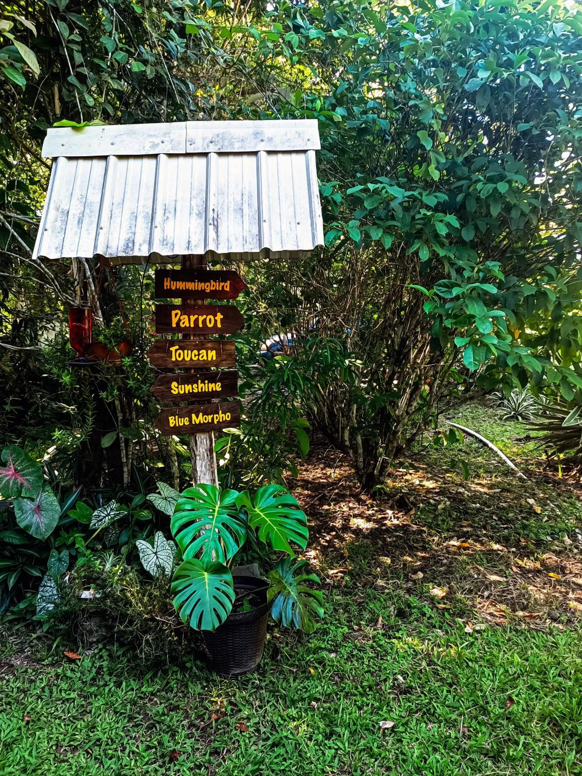 Property building in Sun Creek Lodge