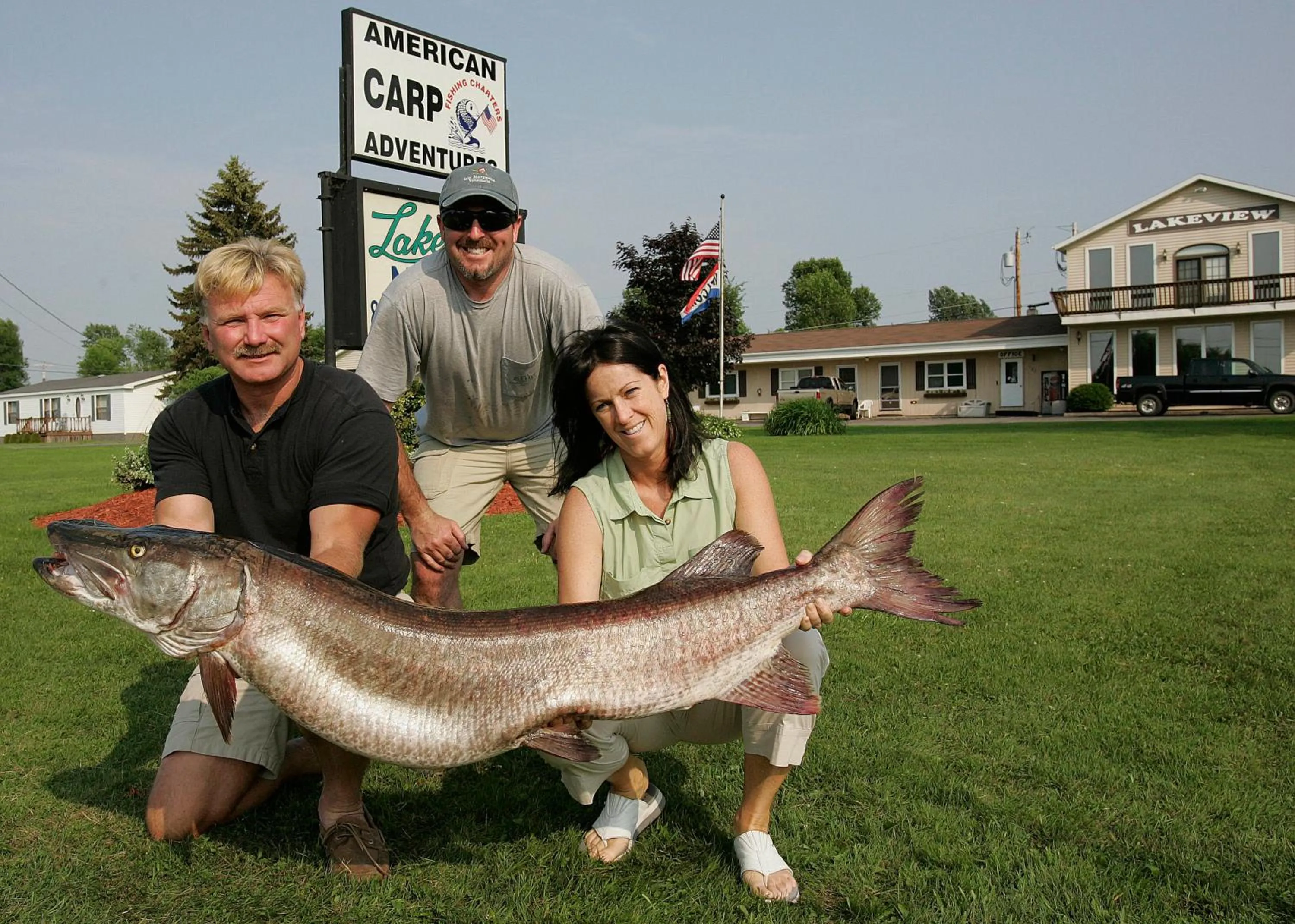 Natural landscape in Lakeview Motel & Apartments