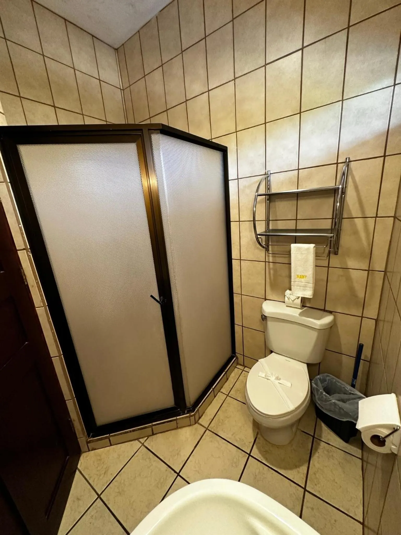 Shower in Hotel Nany