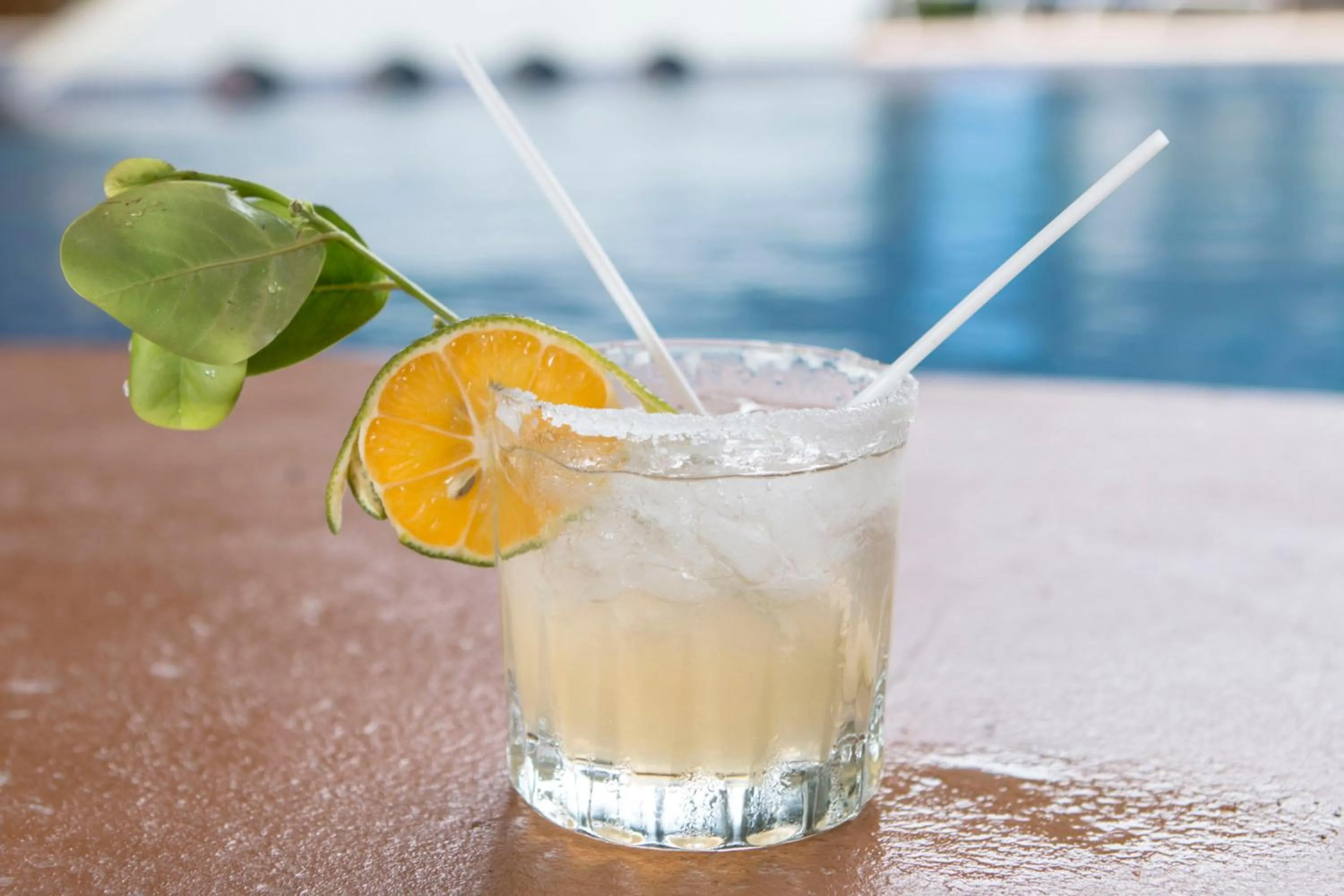 Lounge or bar in Hotel Nany