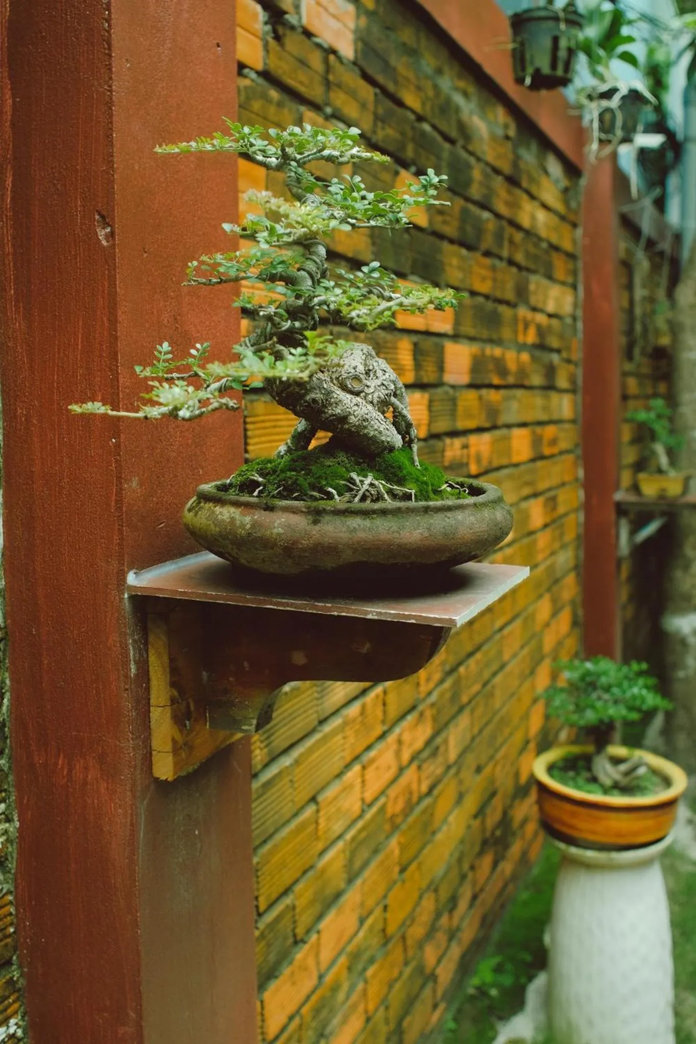 Balcony/Terrace in Ngoc Qui Bungalow