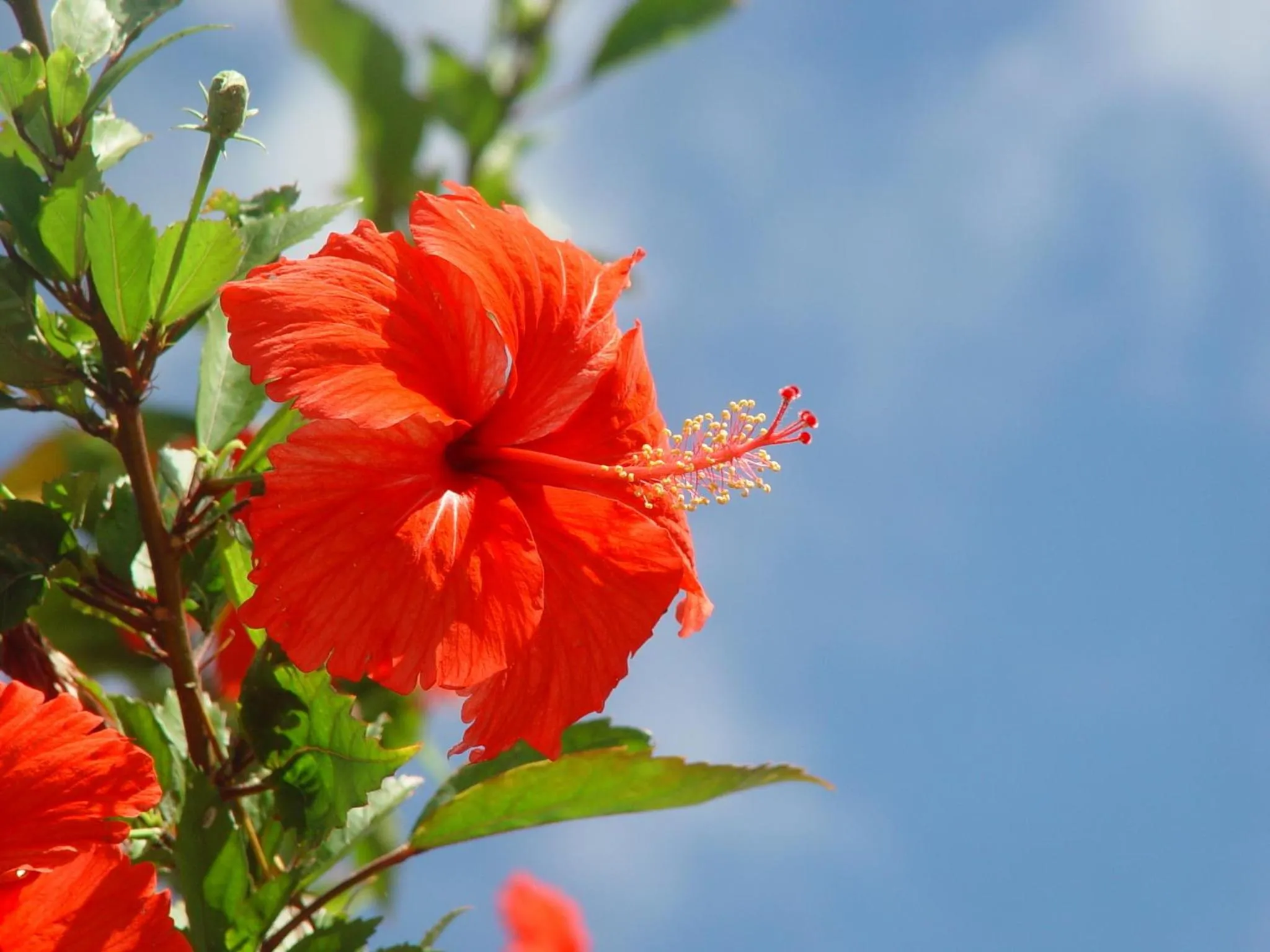 Other in EN RESORT Kumejima EEF Beach Hotel