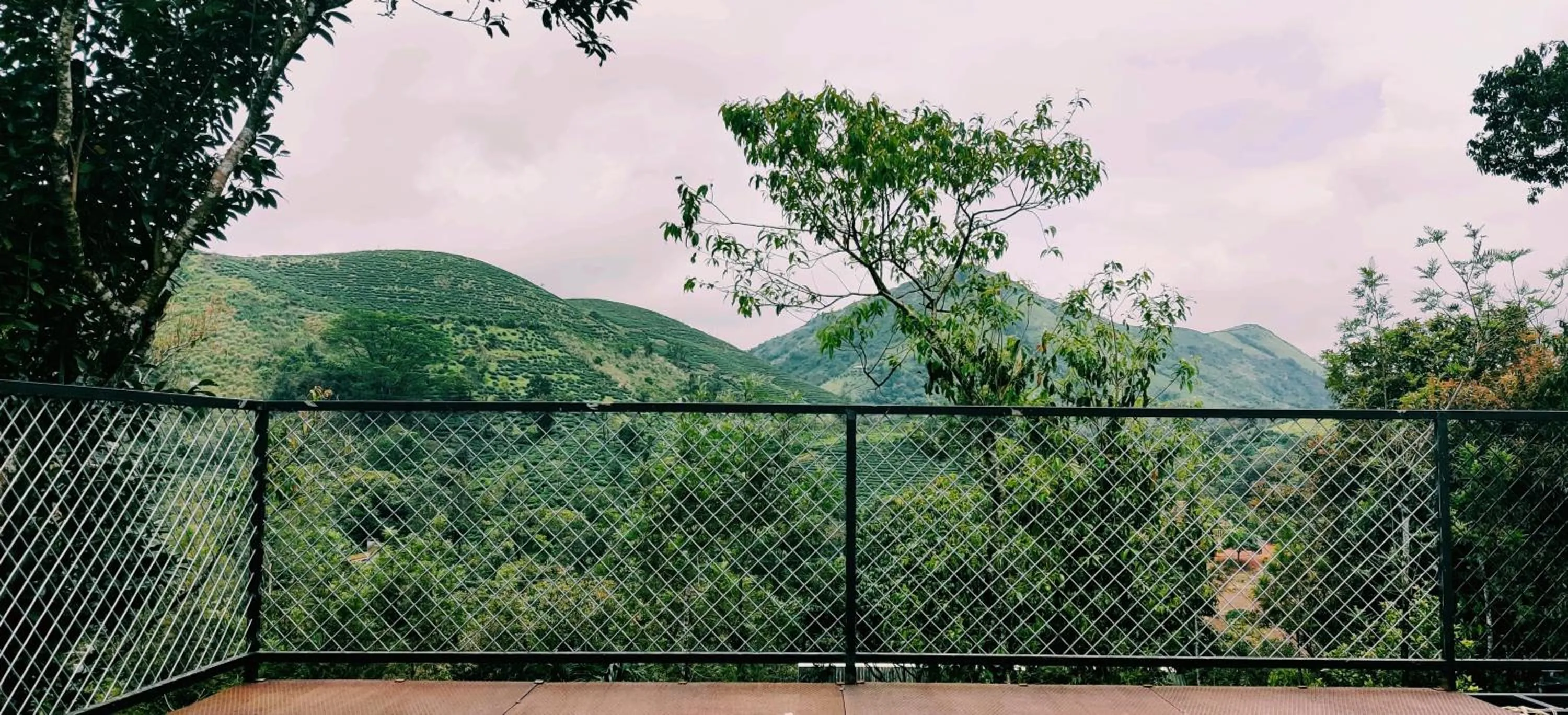 Mountain view in Holiday Vagamon