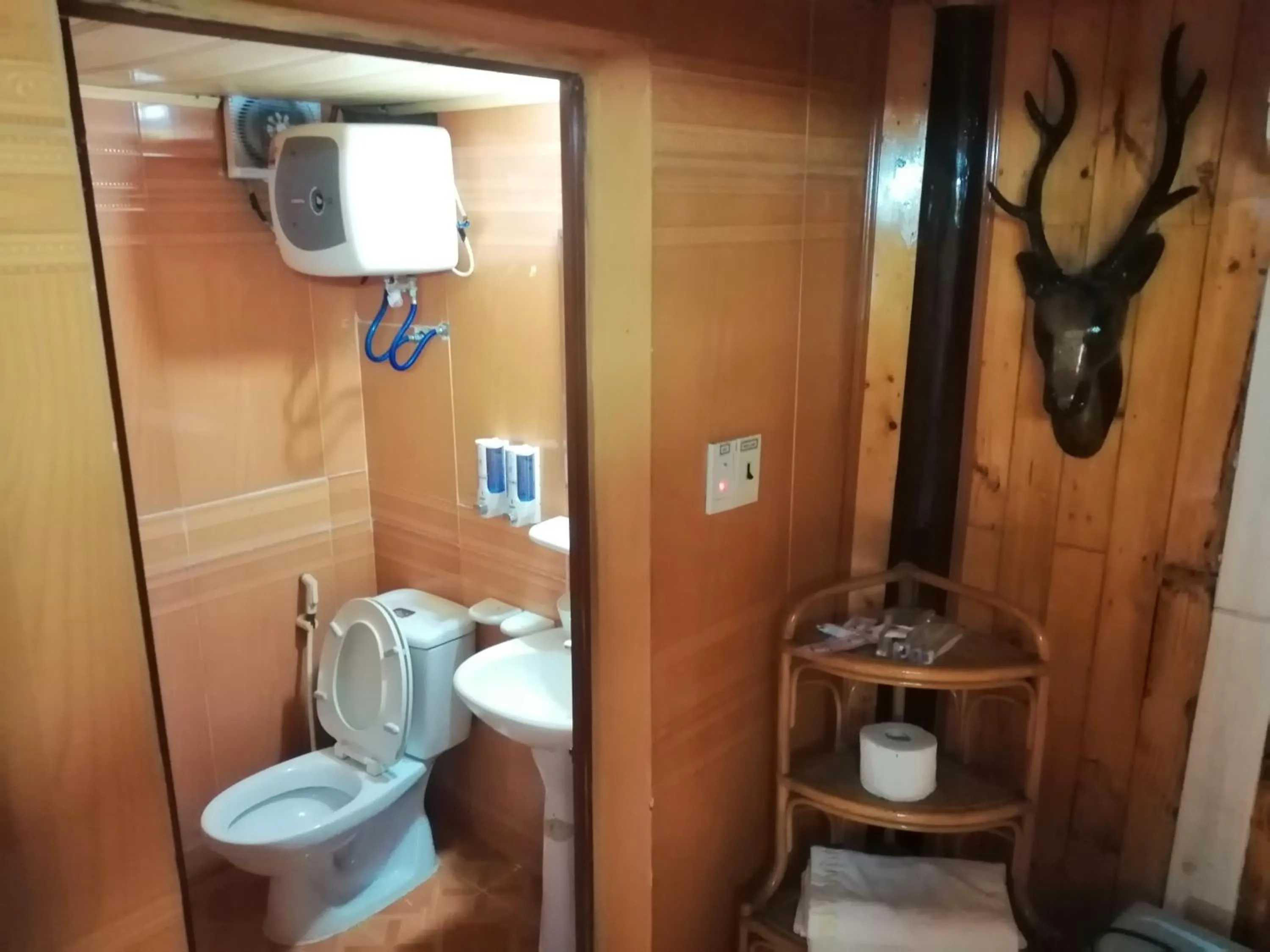 Standard Single Room in Cat Ba Mountain View Homestay