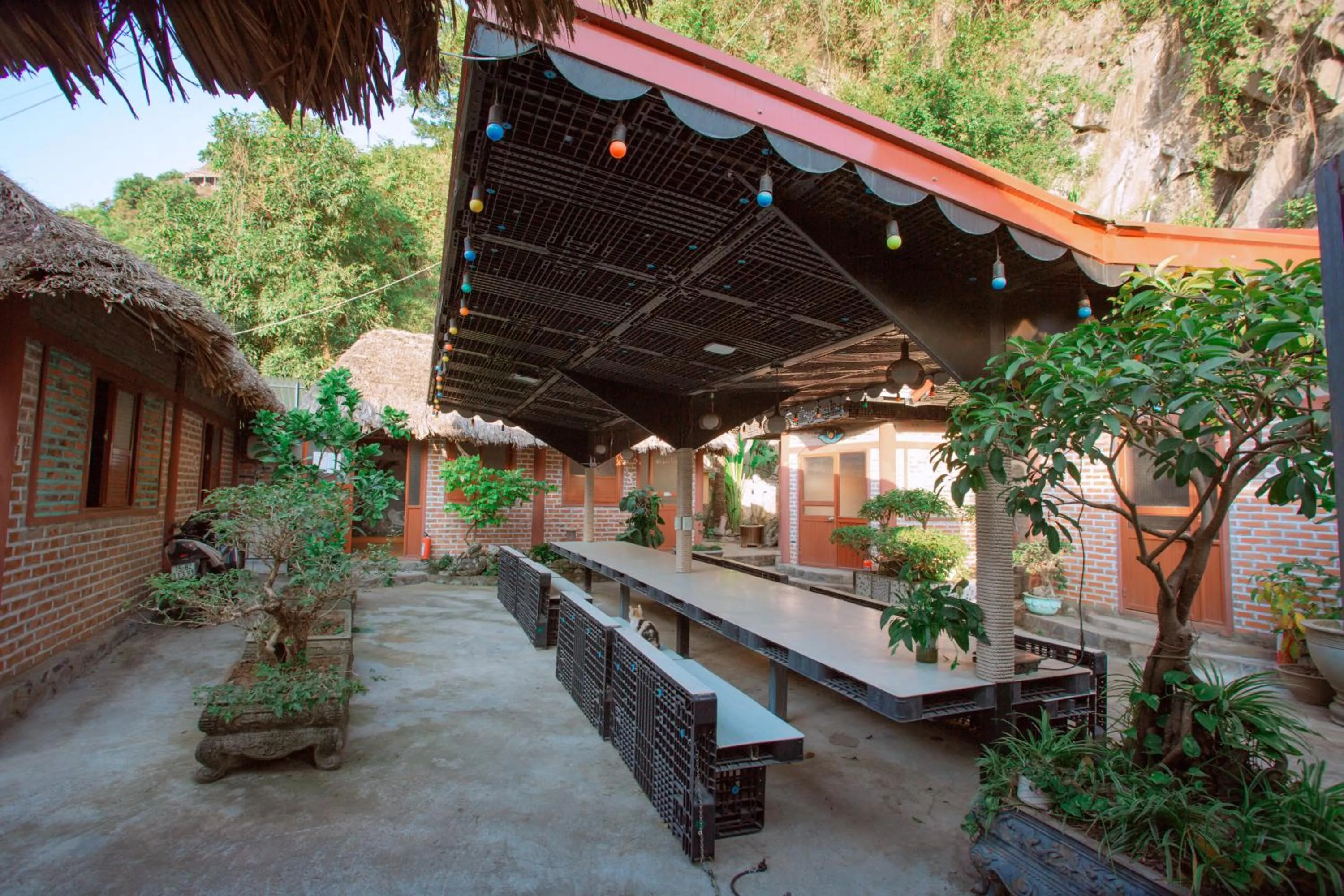 Restaurant/places to eat in Cat Ba Mountain View Homestay