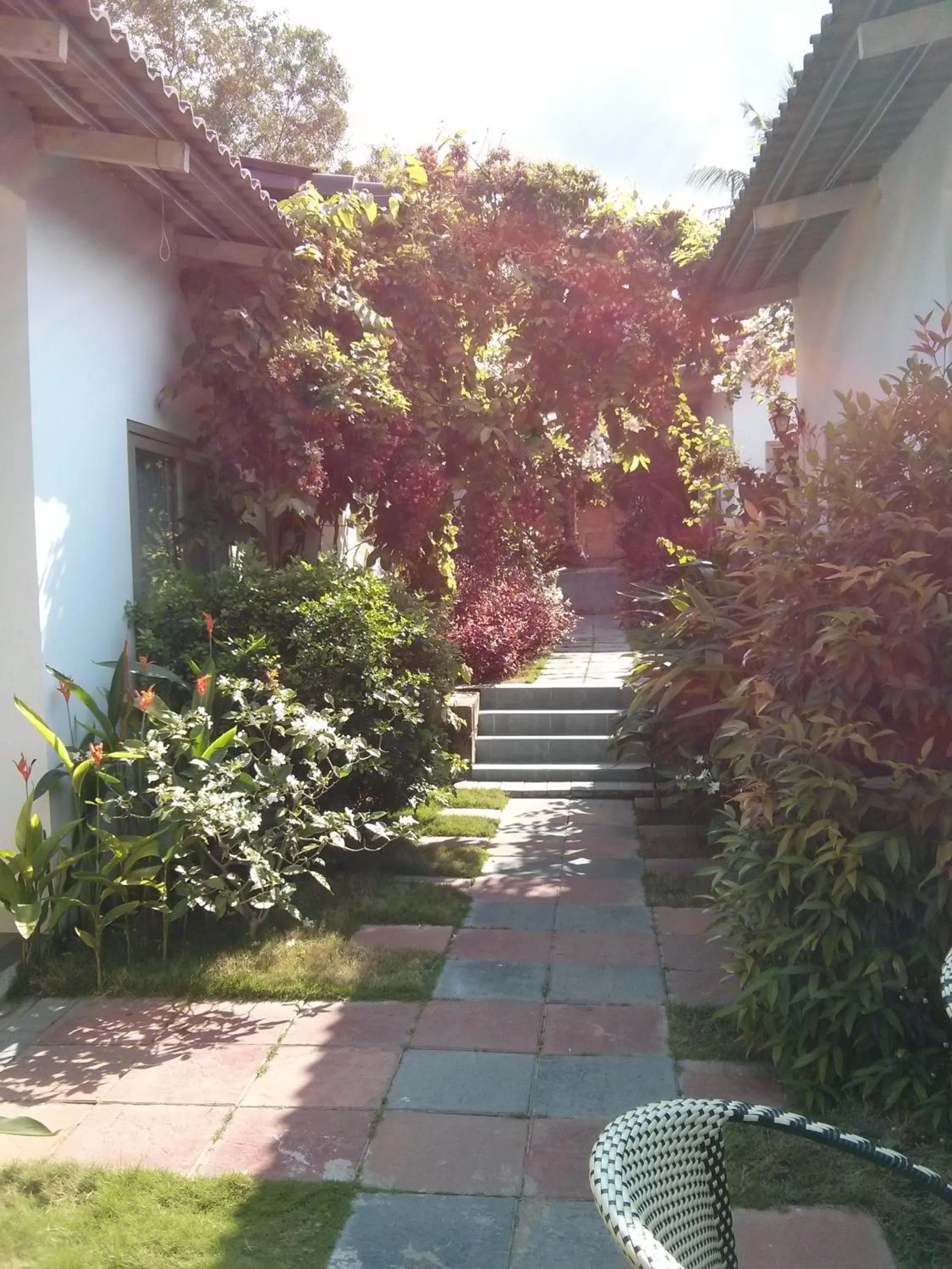 Garden view in Sunshine Bungalow