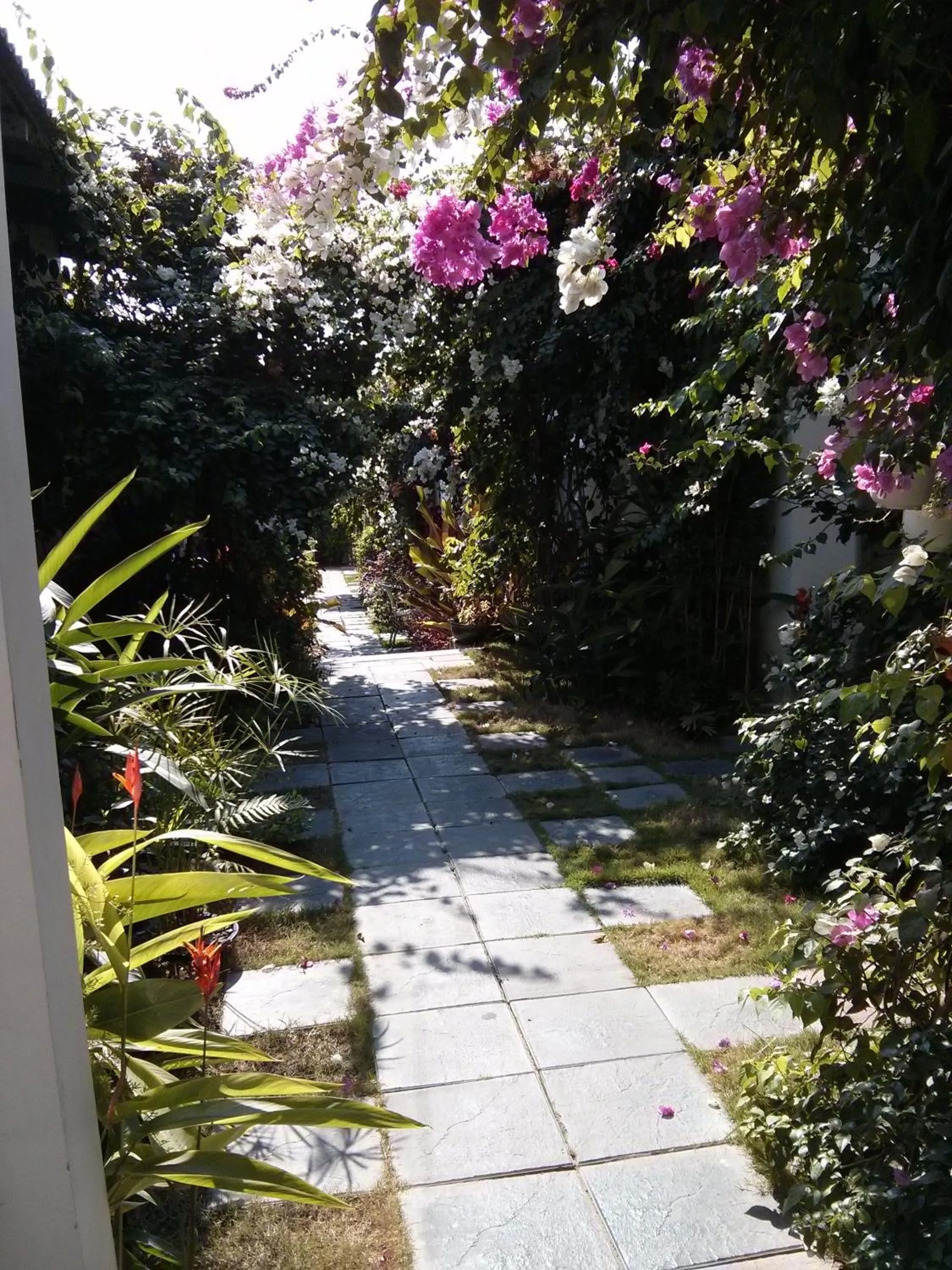 Garden view in Sunshine Bungalow