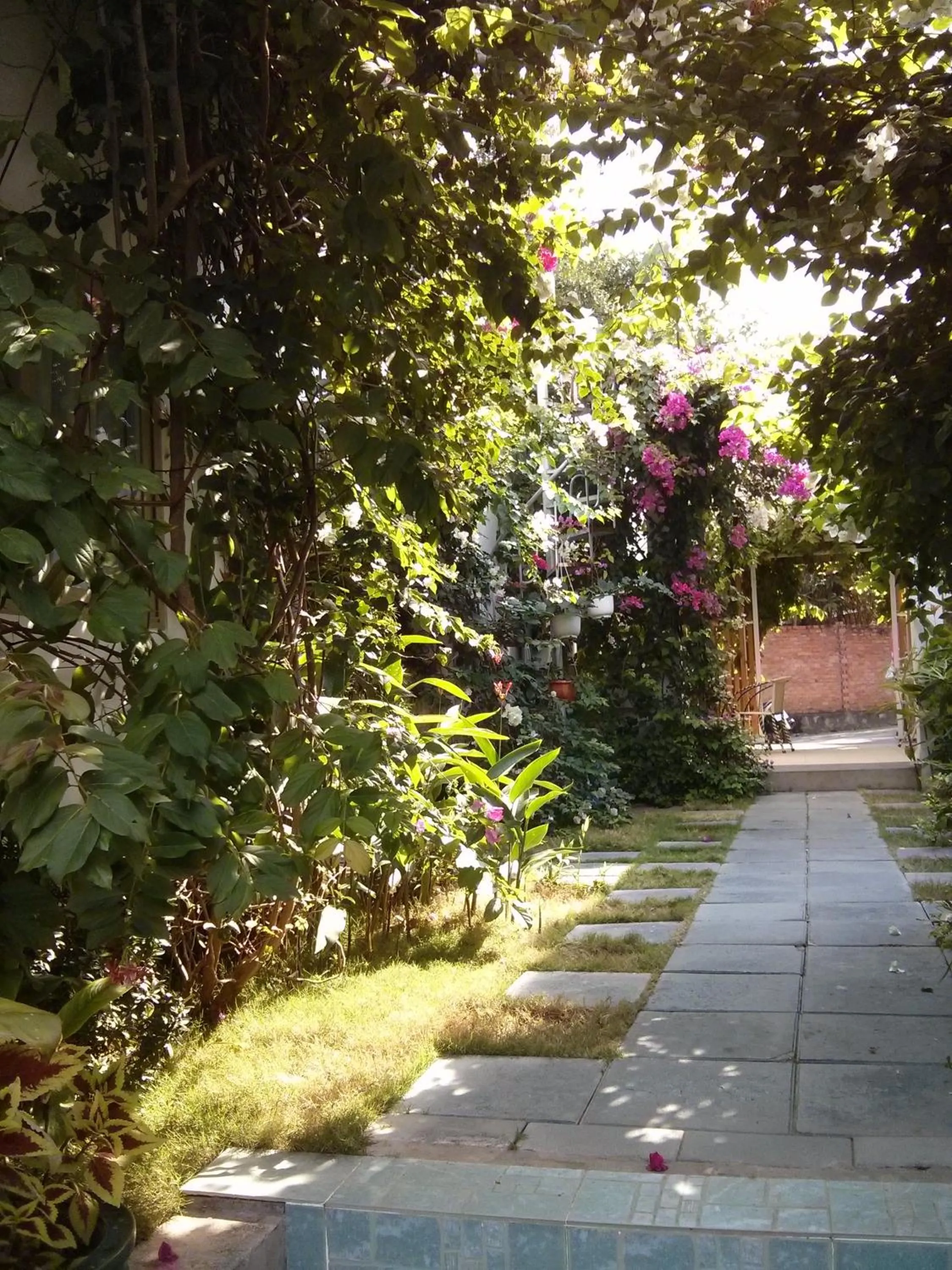 Garden view in Sunshine Bungalow