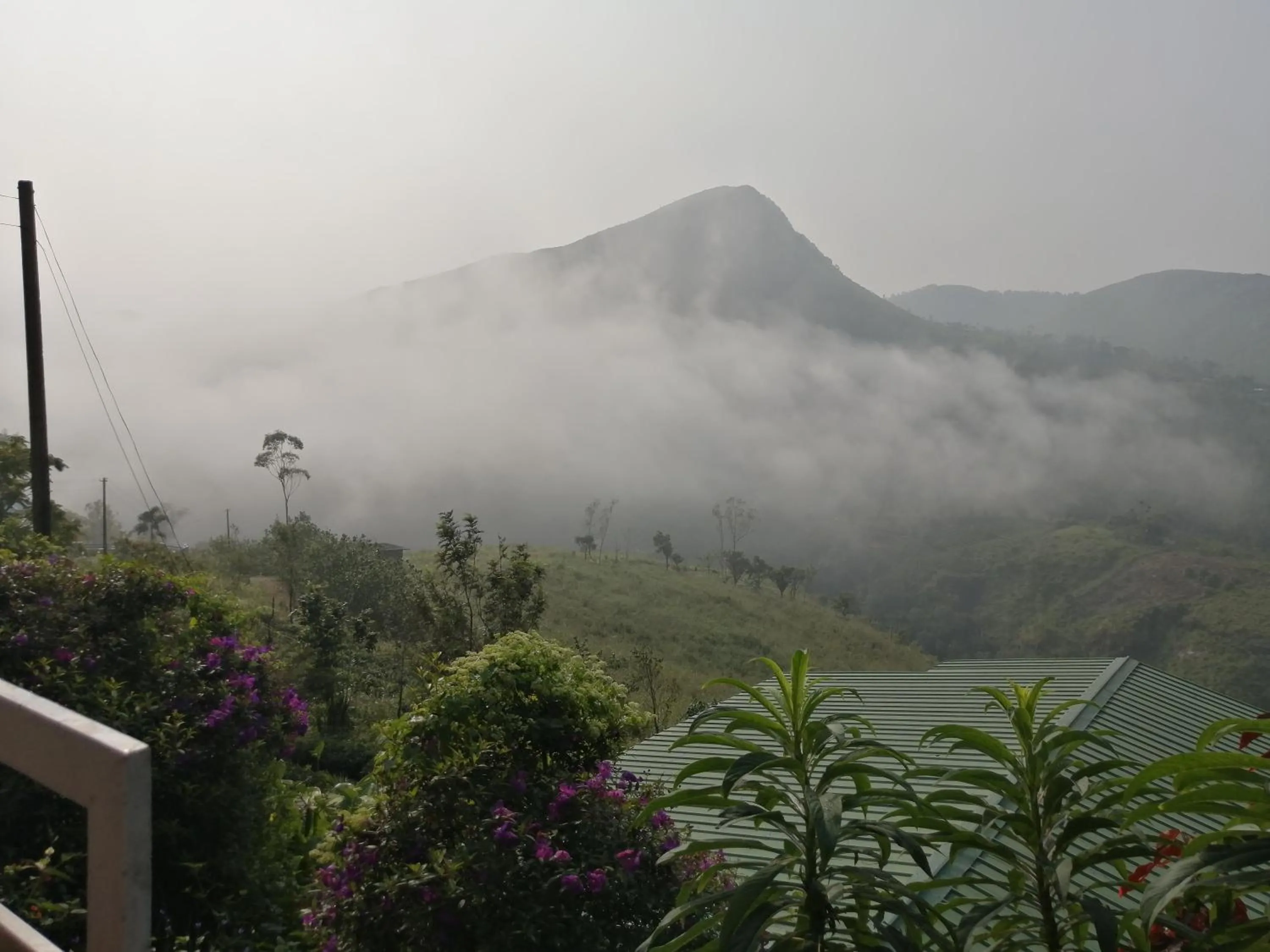 The Kissing Mountains