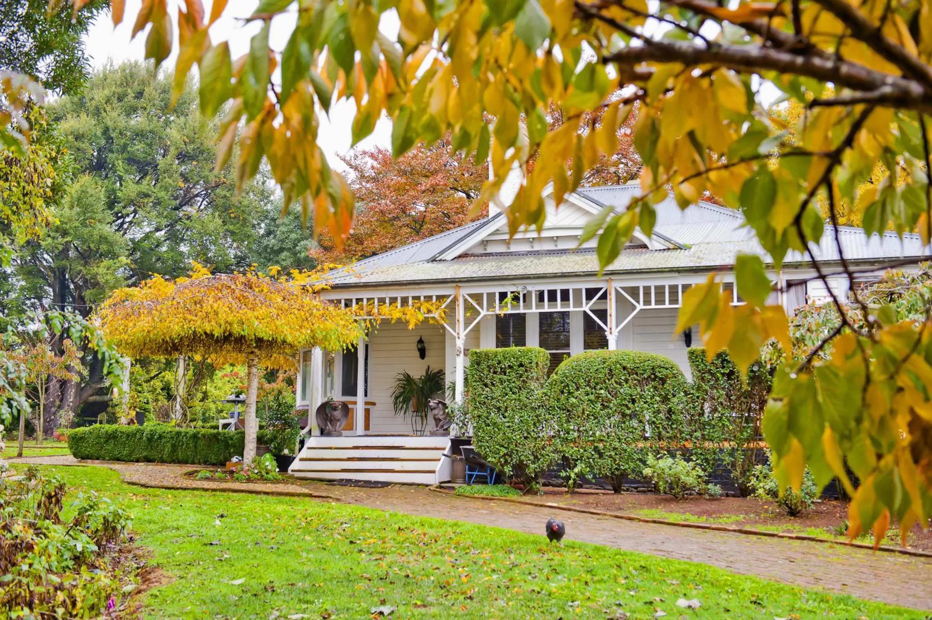 Property building in Willowlodge