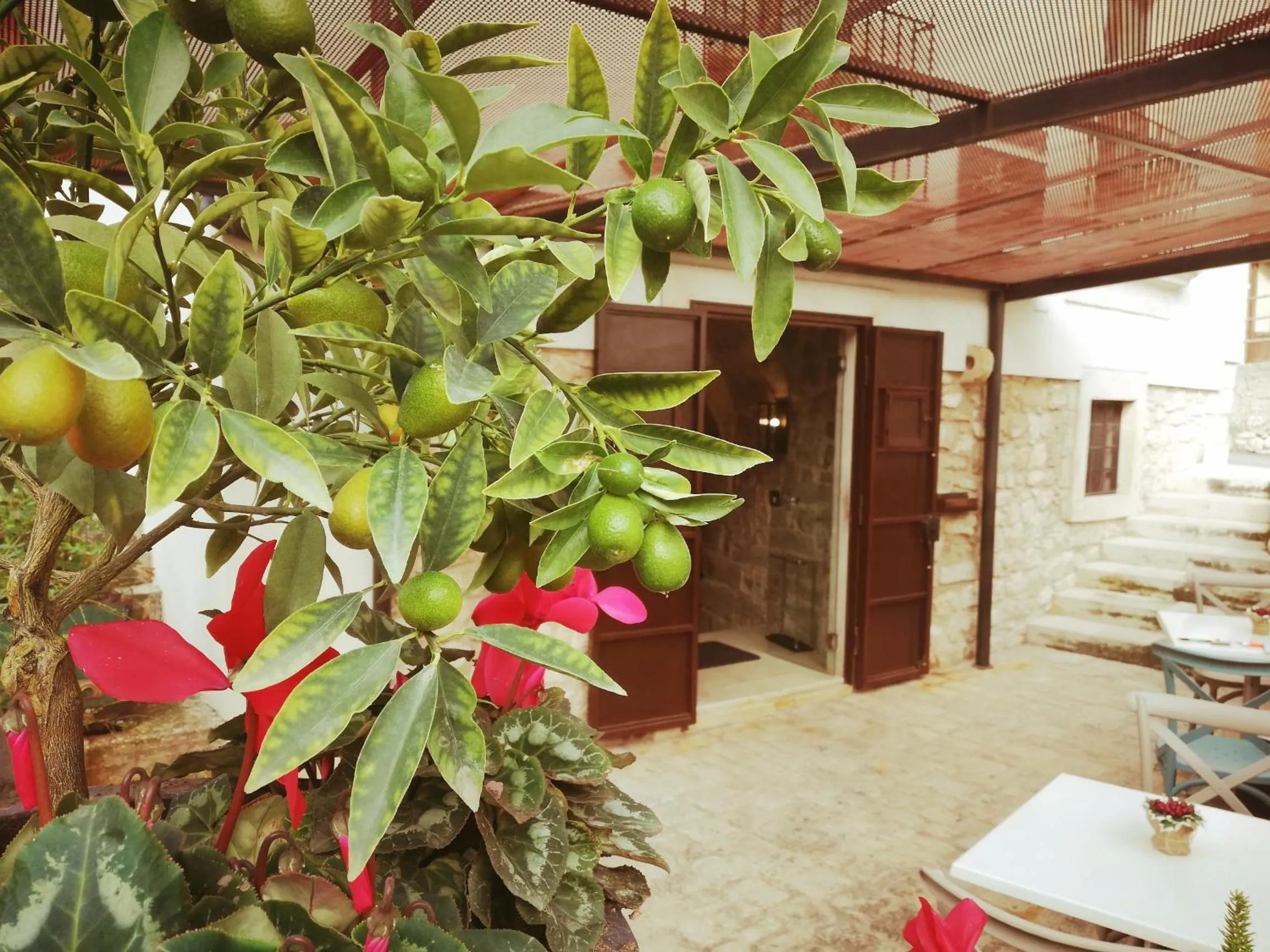 Restaurant/places to eat in Terrazzani Suite