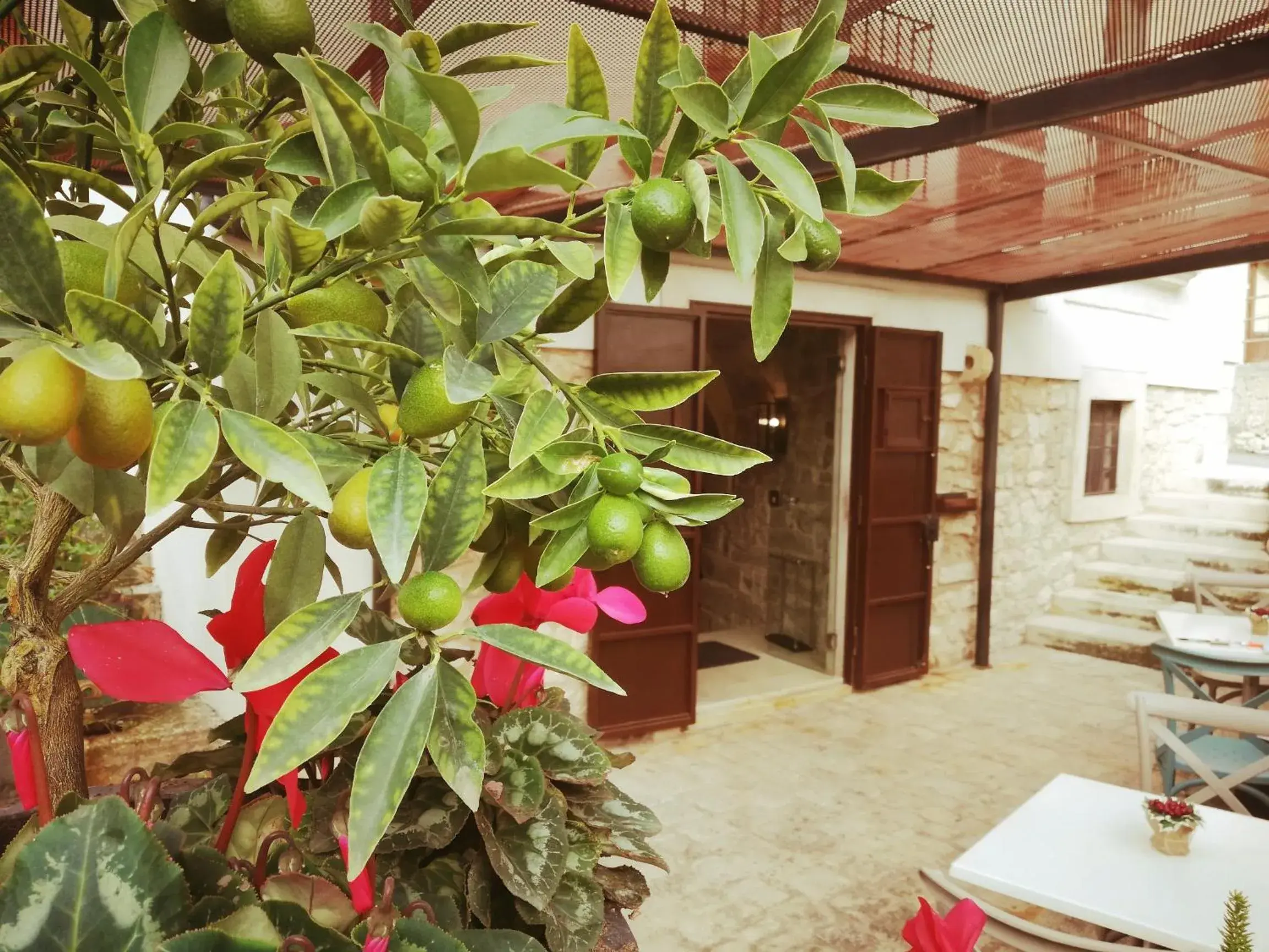 Restaurant/places to eat in Terrazzani Suite Restaurant/places to eat in Terrazzani Suite