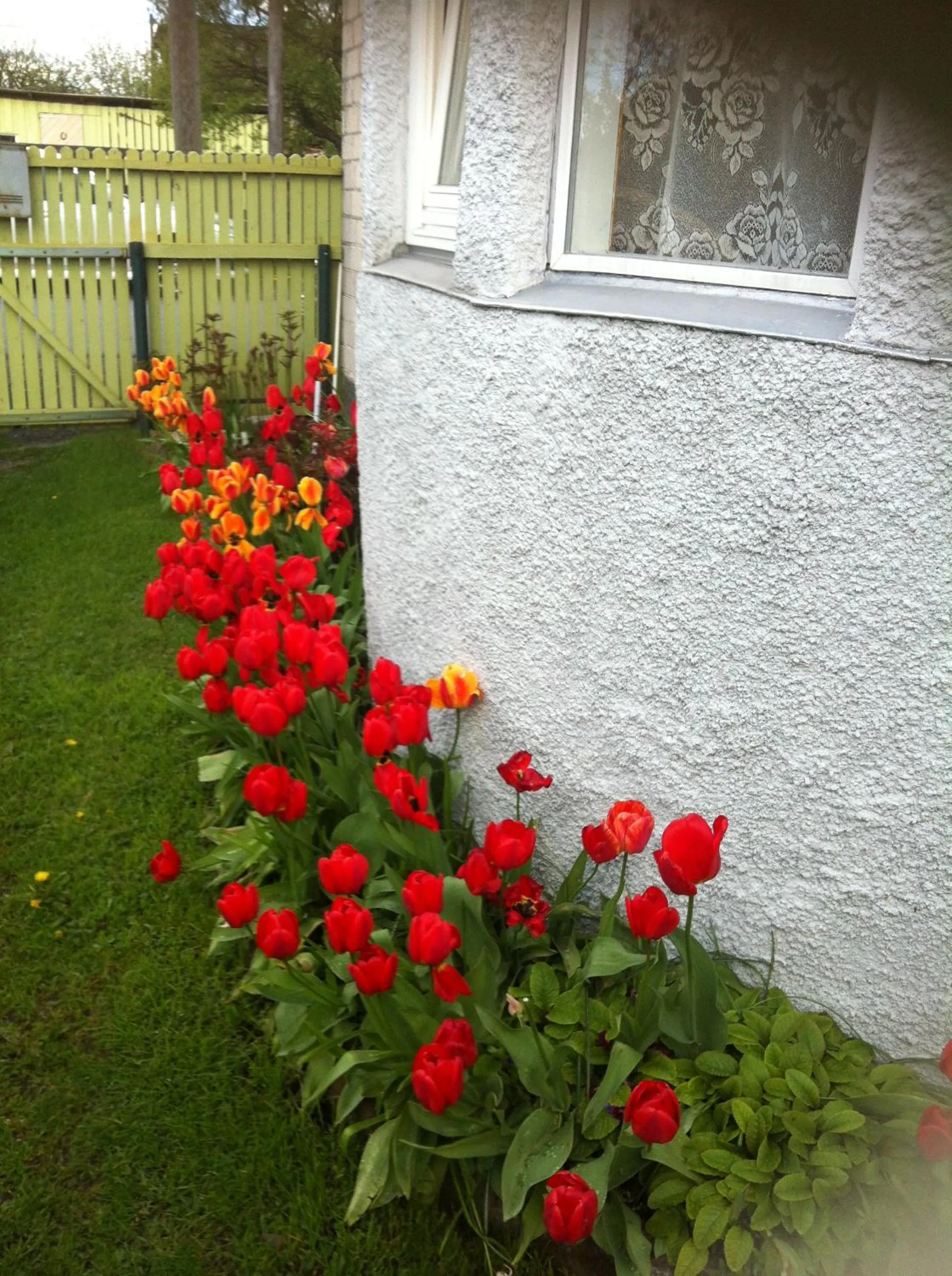Spring in Soliid Apartment