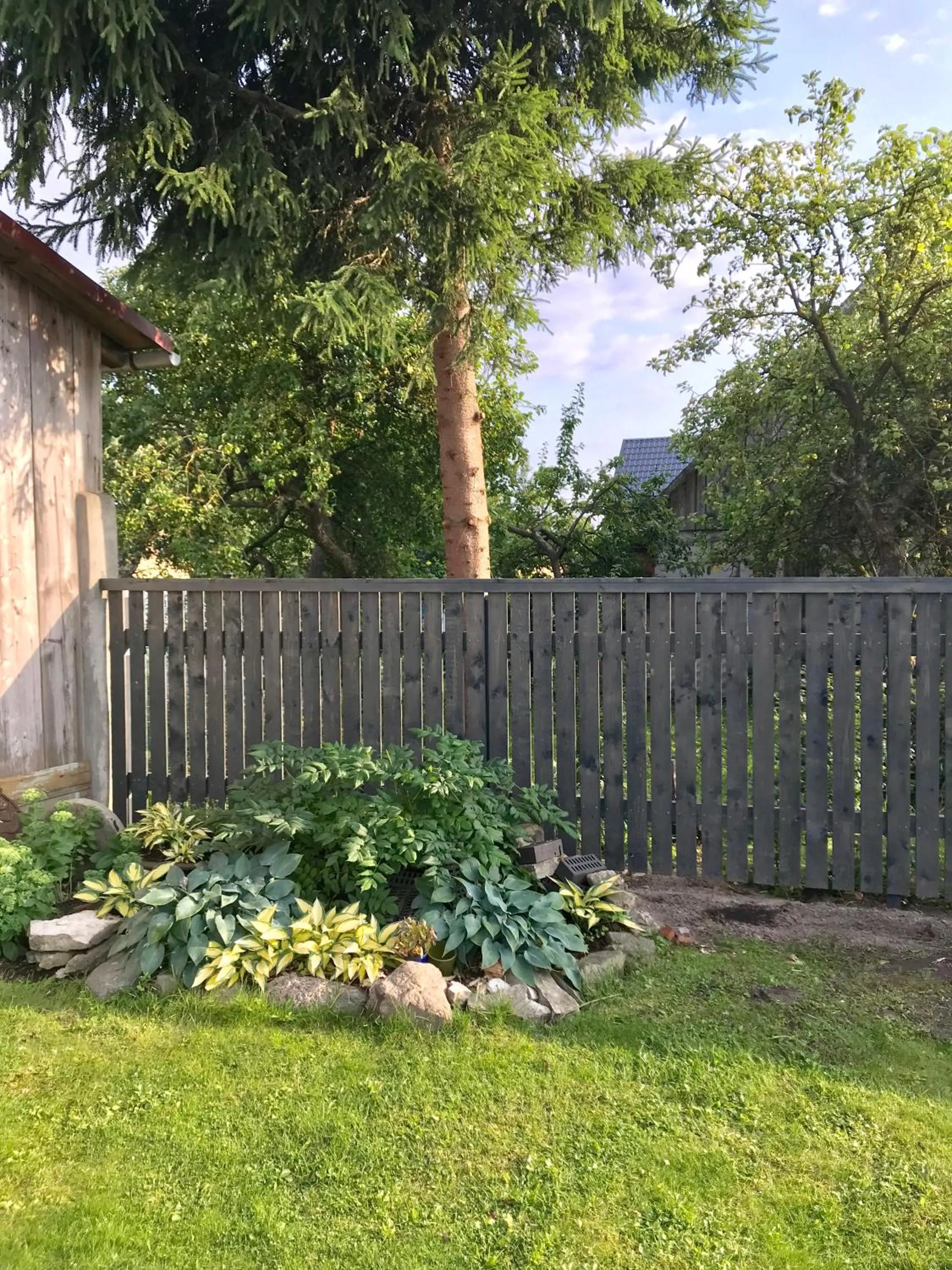 Patio in Soliid Apartment