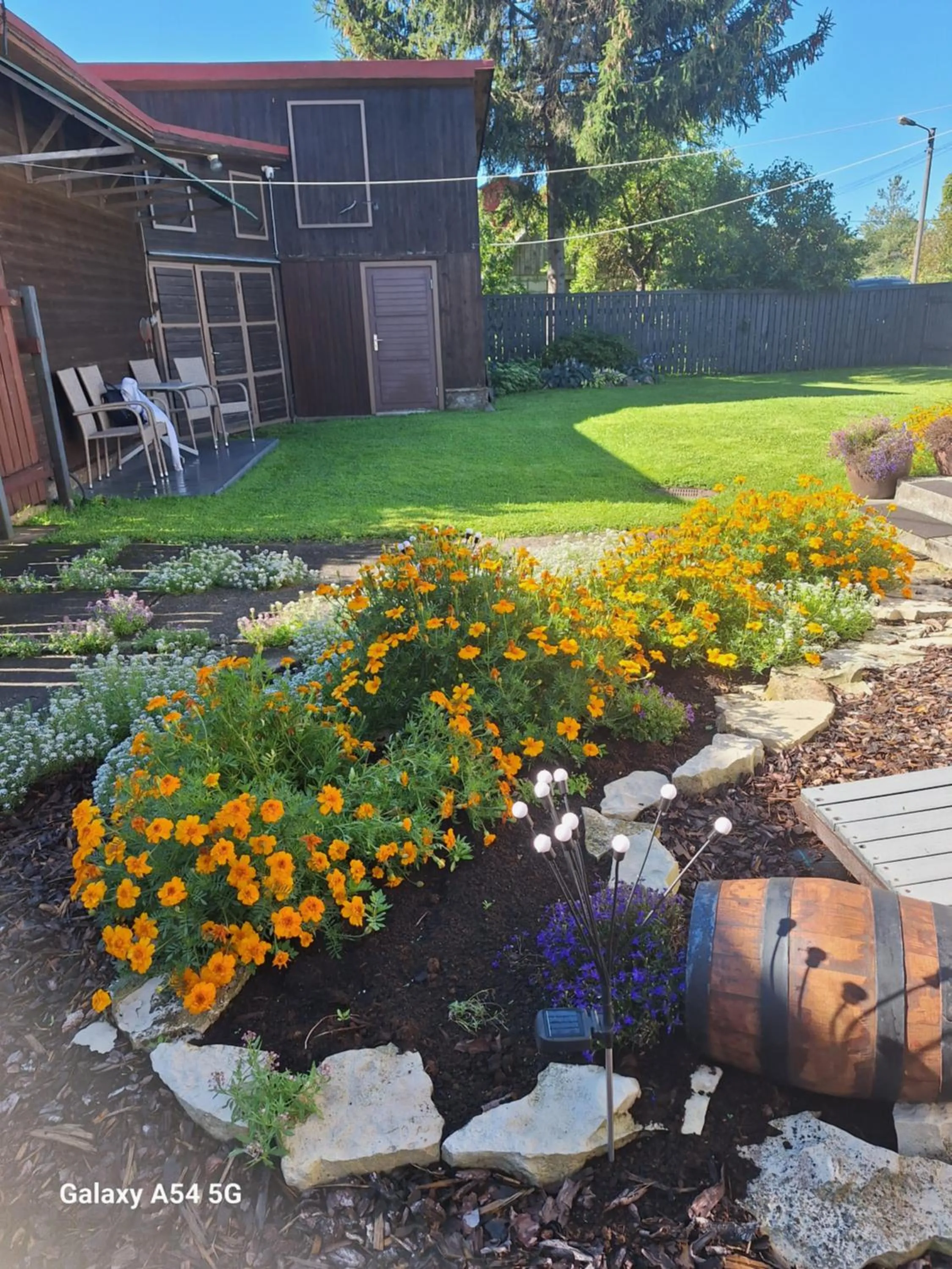 Garden in Soliid Apartment