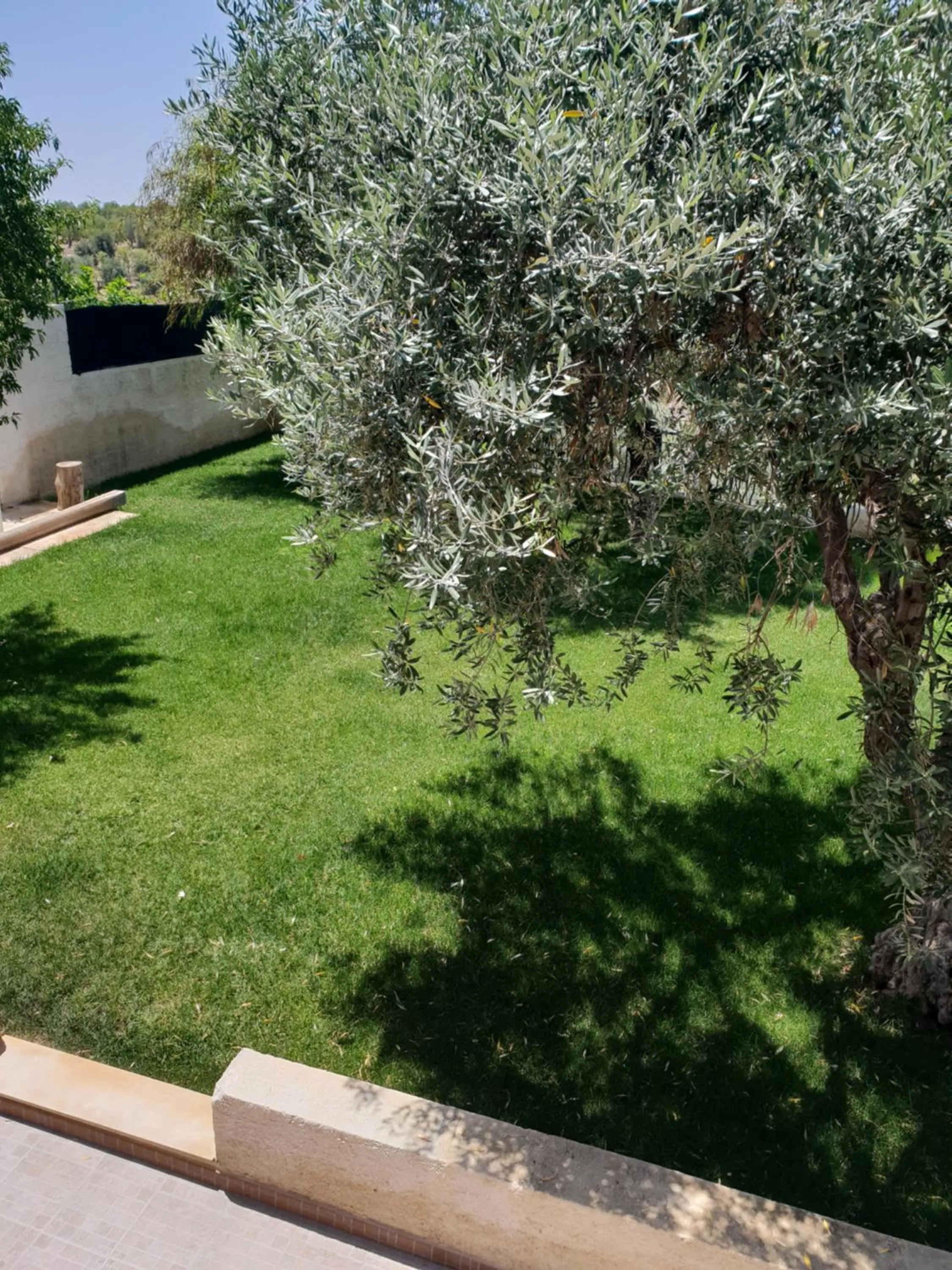 View (from property/room) in Teodora House