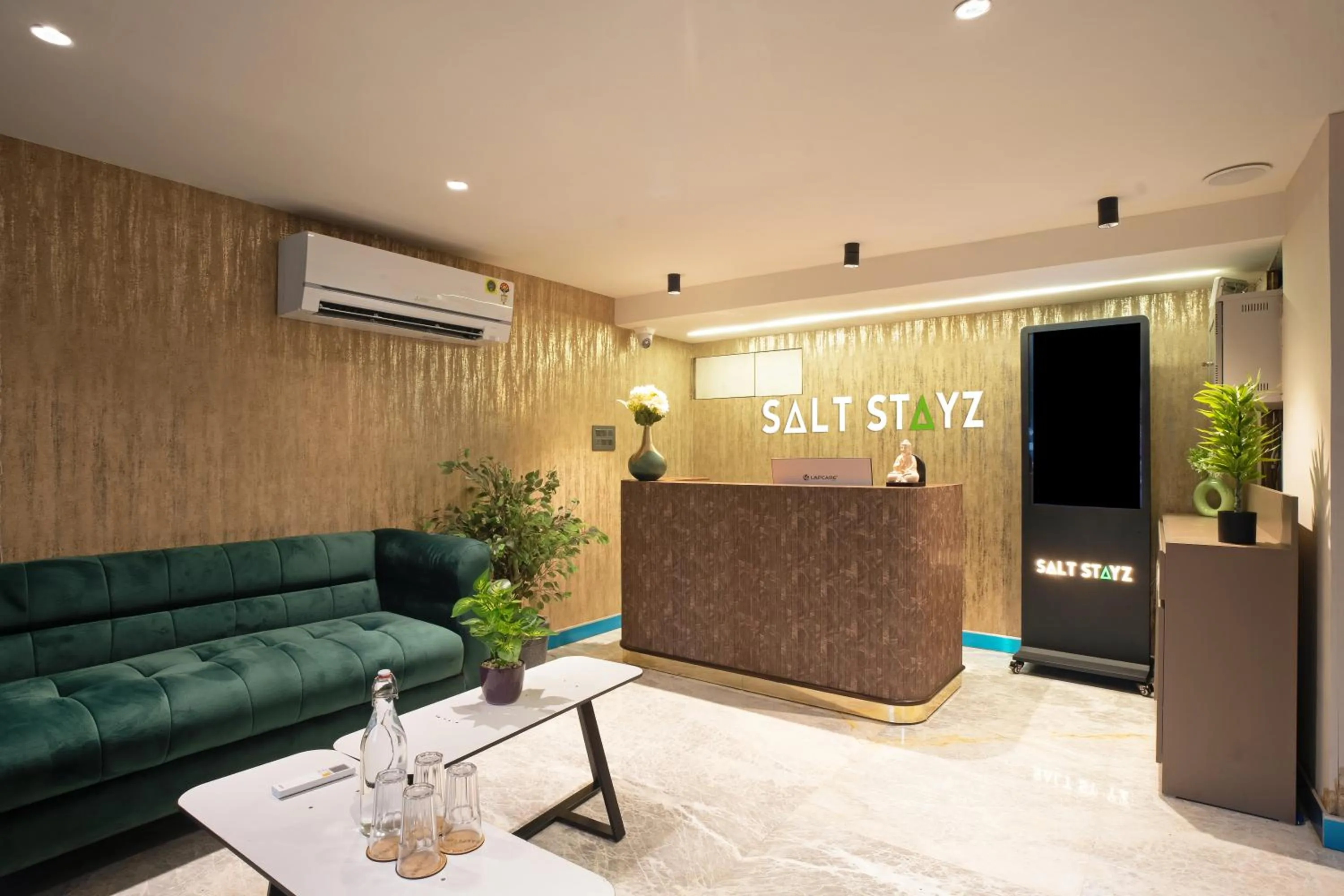 TV and multimedia in Saltstayz Premier - Naraina, Central Delhi