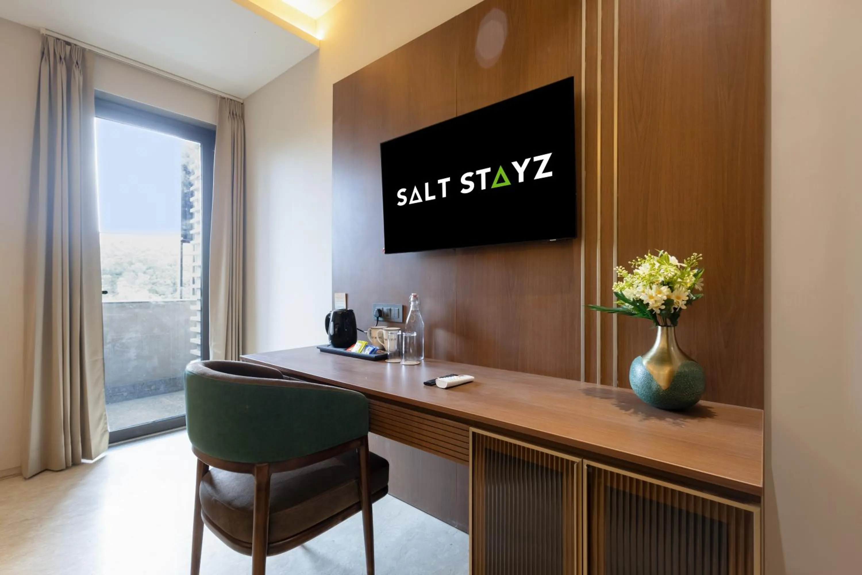 TV and multimedia in Saltstayz Premier - Naraina, Central Delhi