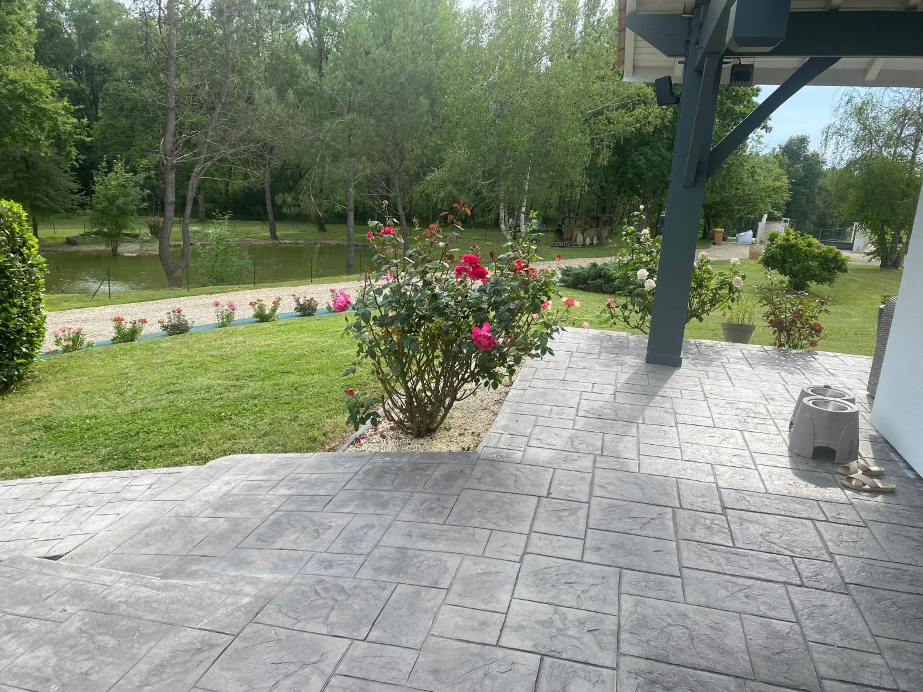 Summer in Les Pins Perdus