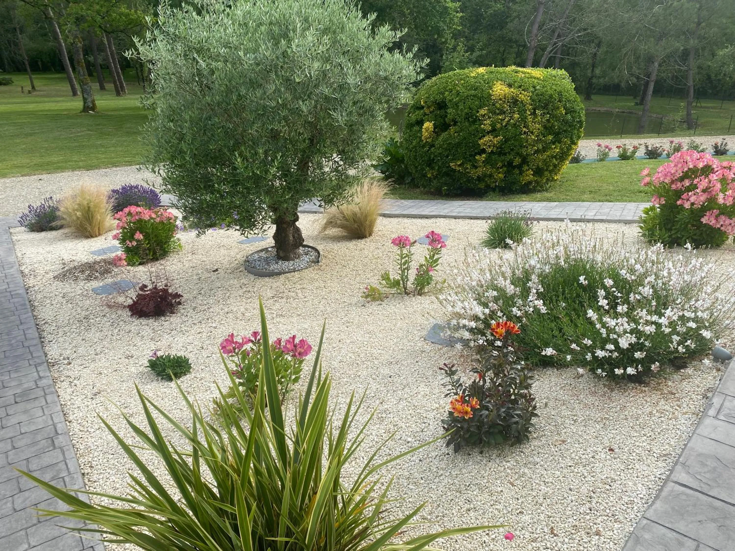 Garden in Les Pins Perdus
