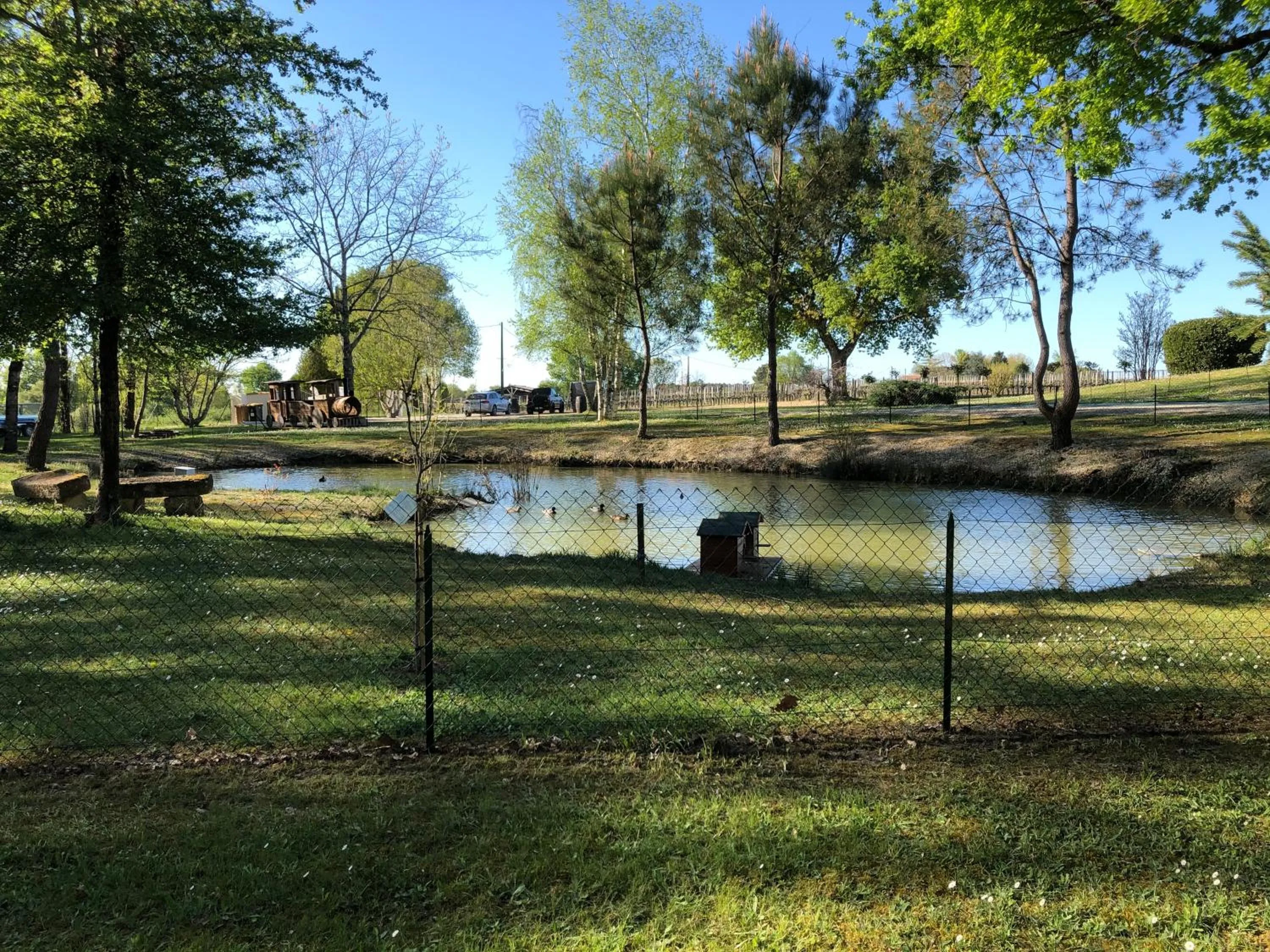 Natural landscape in Les Pins Perdus