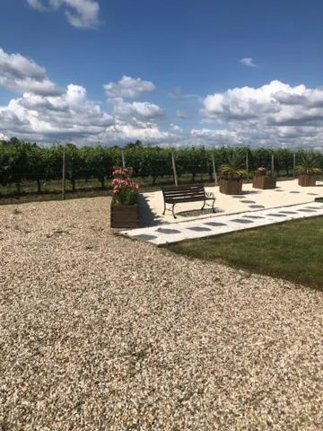 Day in Les Pins Perdus