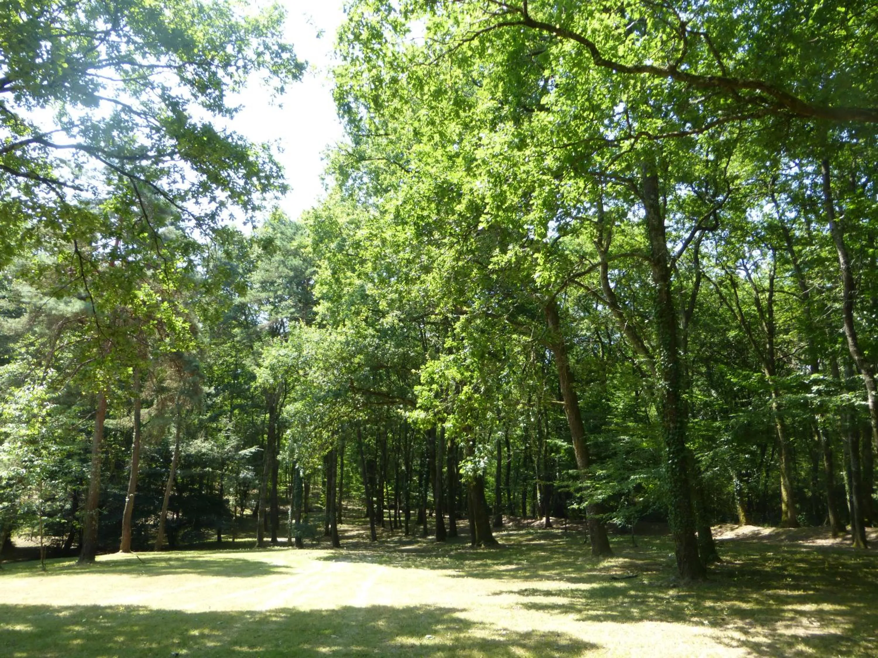 Garden in Les Pins Perdus