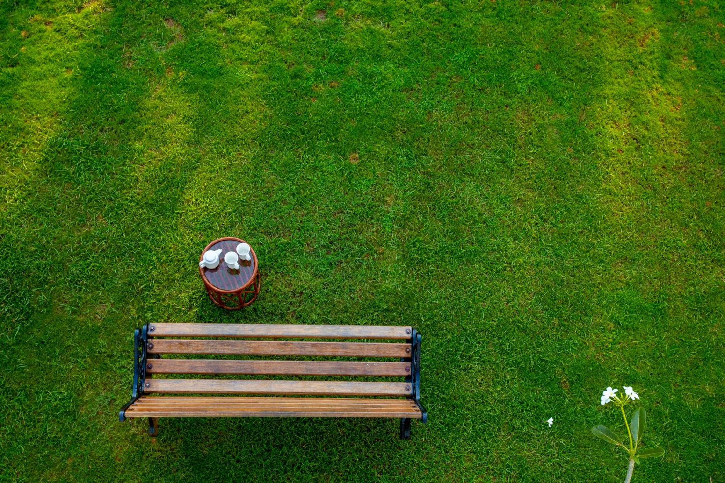 Garden in La Vaiencia Beach Resort, Morjim