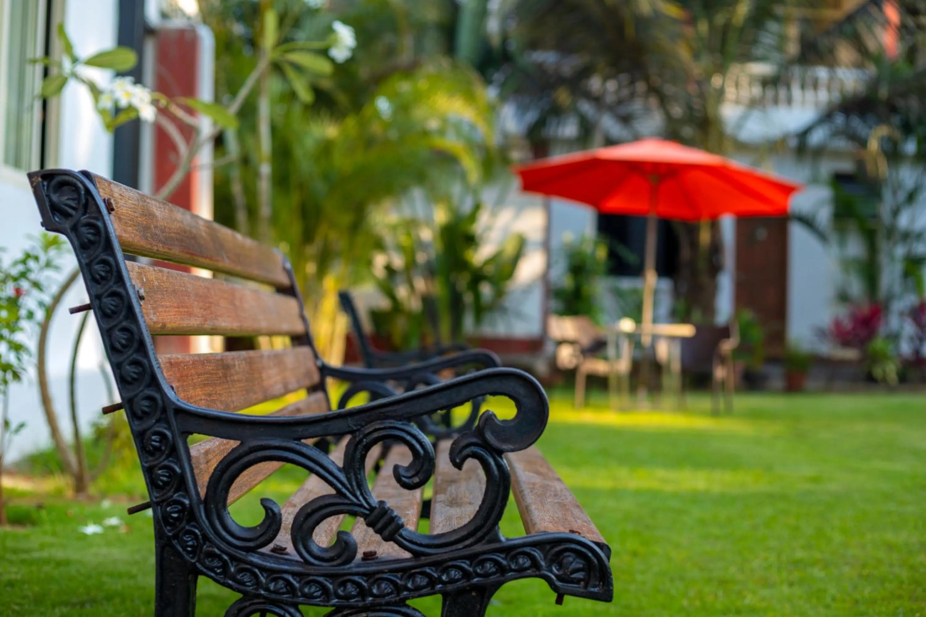 Garden in La Vaiencia Beach Resort, Morjim